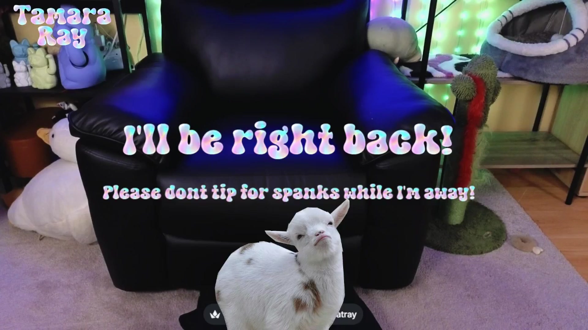 Gallery image thumbnail from TamaraRay's myfreecams stream on, 04/27/2026, 05:53 image 5 of 20