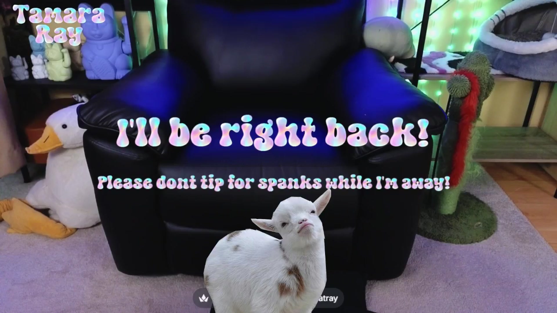 Gallery image thumbnail from TamaraRay's myfreecams stream on, 04/28/2026, 06:11 image 12 of 20