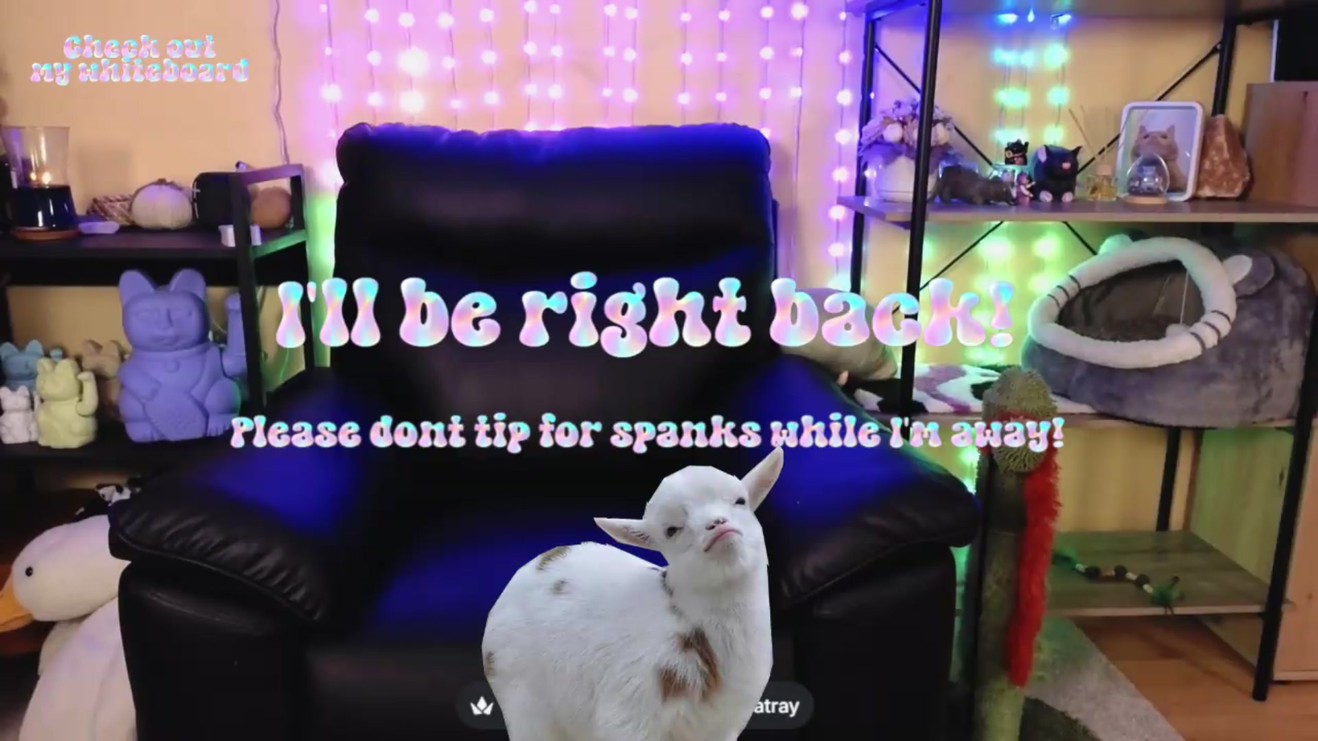 Gallery image thumbnail from TamaraRay's myfreecams stream on, 05/07/2026, 07:19 image 18 of 20