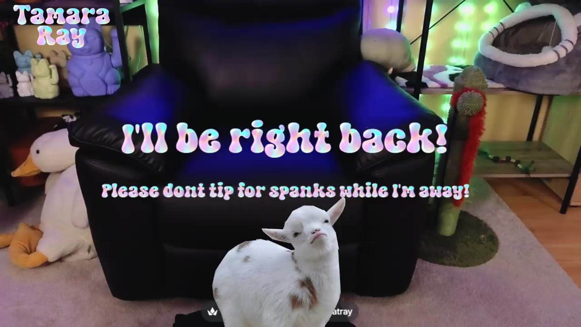 Gallery image thumbnail from TamaraRay's myfreecams stream on, 05/07/2026, 07:19 image 9 of 20