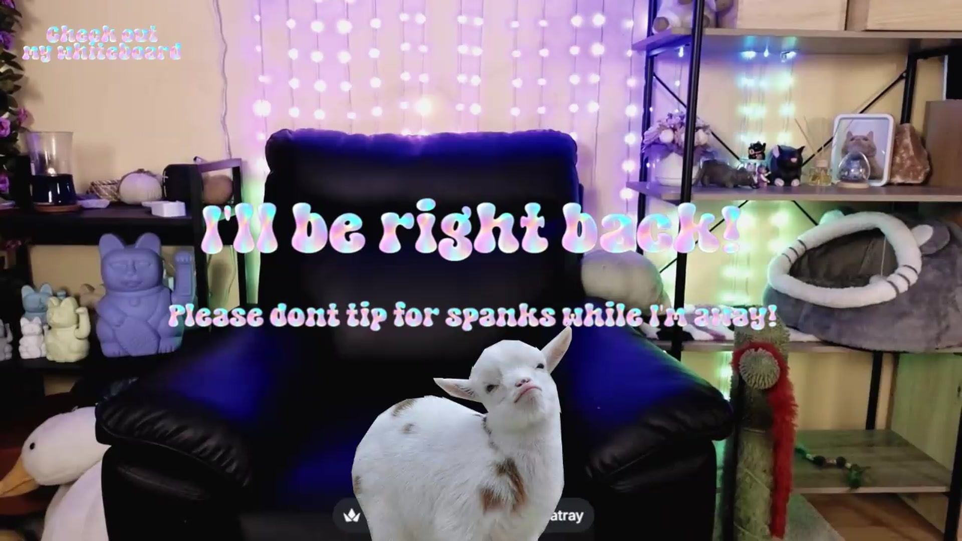 Gallery image thumbnail from TamaraRay's myfreecams stream on, 05/08/2026, 06:31 image 10 of 20