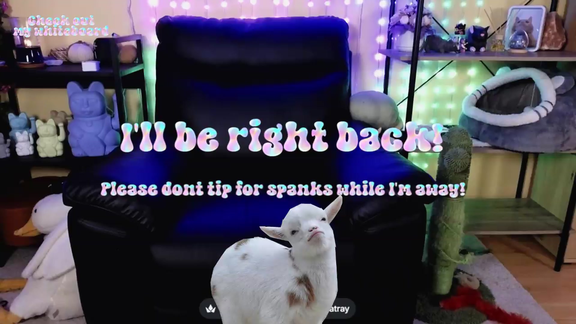 Gallery image thumbnail from TamaraRay's myfreecams stream on, 05/10/2026, 07:34 image 6 of 20