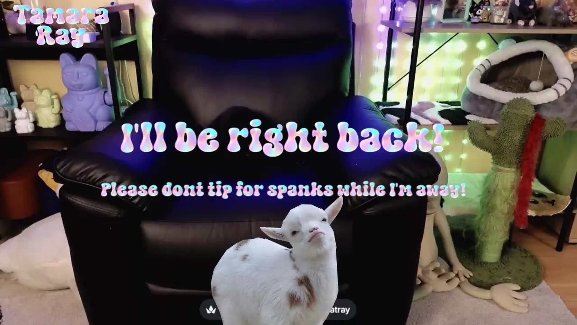 Gallery image thumbnail from TamaraRay's myfreecams stream on, 06/04/2026, 06:22 image 2 of 20