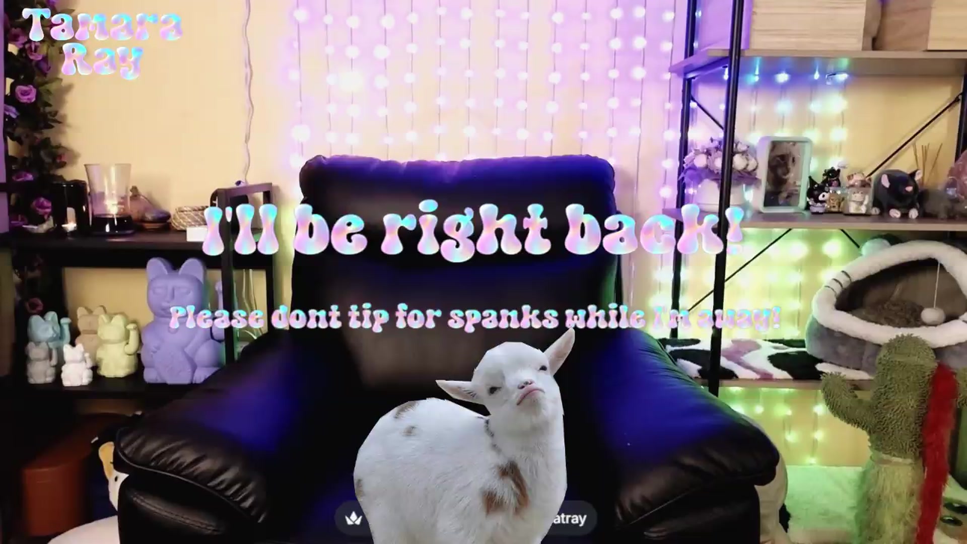 Gallery image thumbnail from TamaraRay's myfreecams stream on, 06/05/2026, 07:08 image 14 of 20