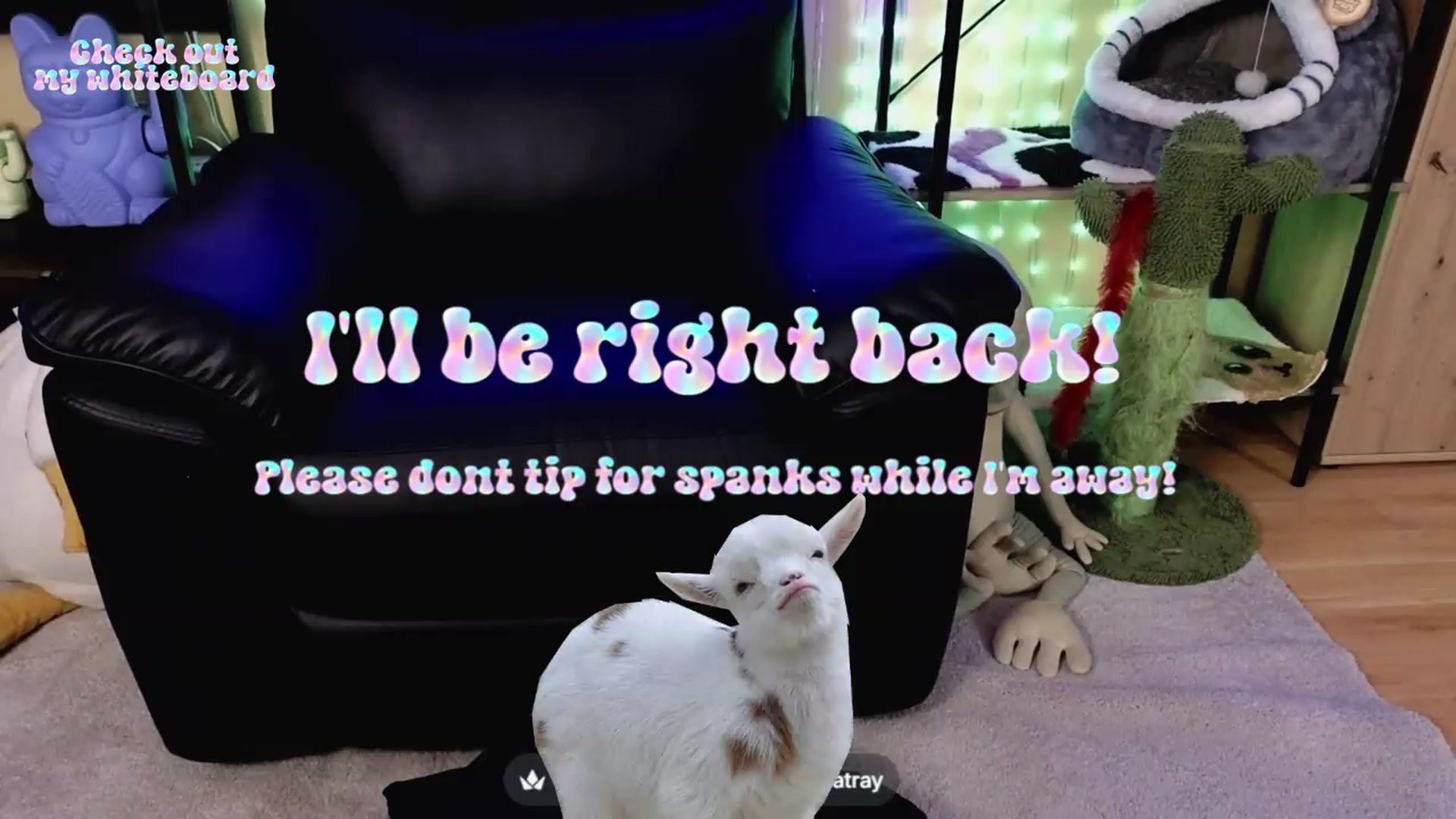 Gallery image thumbnail from TamaraRay's myfreecams stream on, 06/08/2026, 06:54 image 10 of 20
