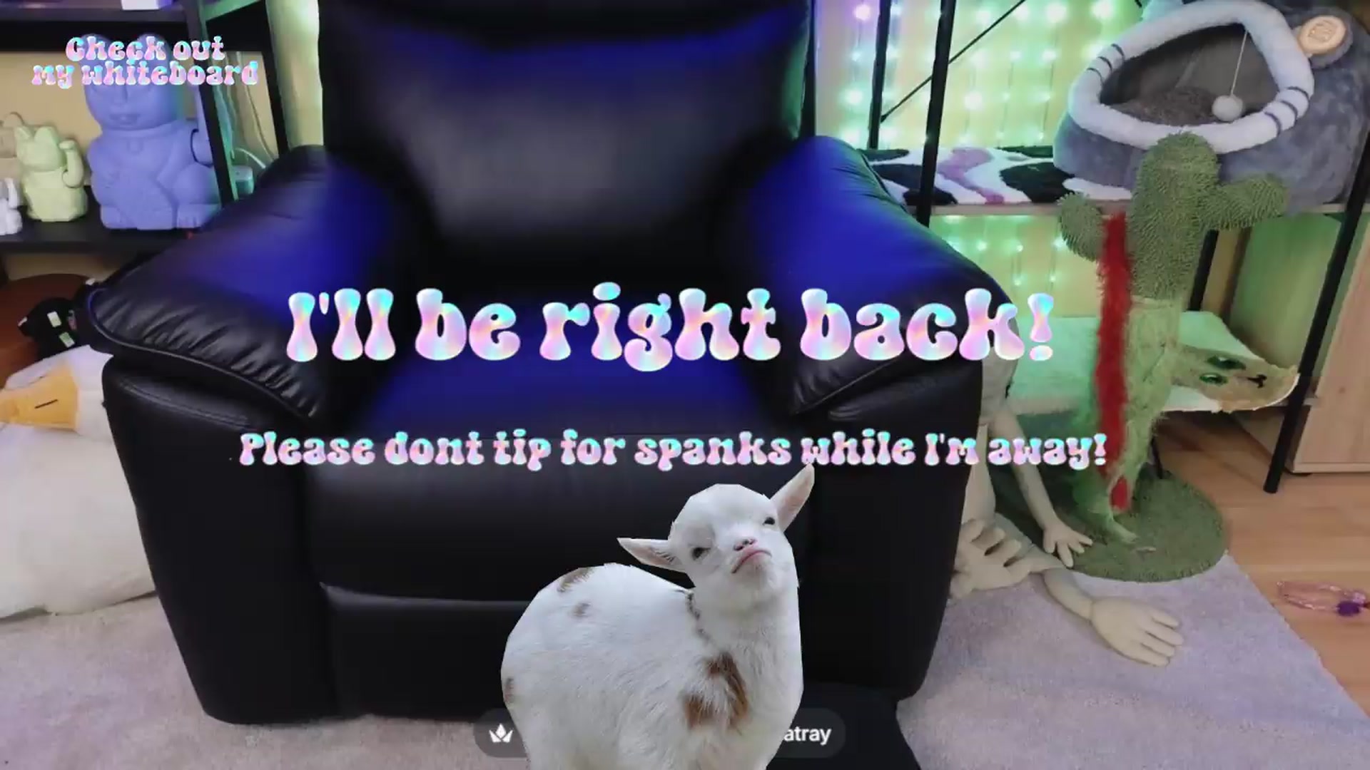 Gallery image thumbnail from TamaraRay's myfreecams stream on, 06/12/2026, 06:33 image 14 of 20