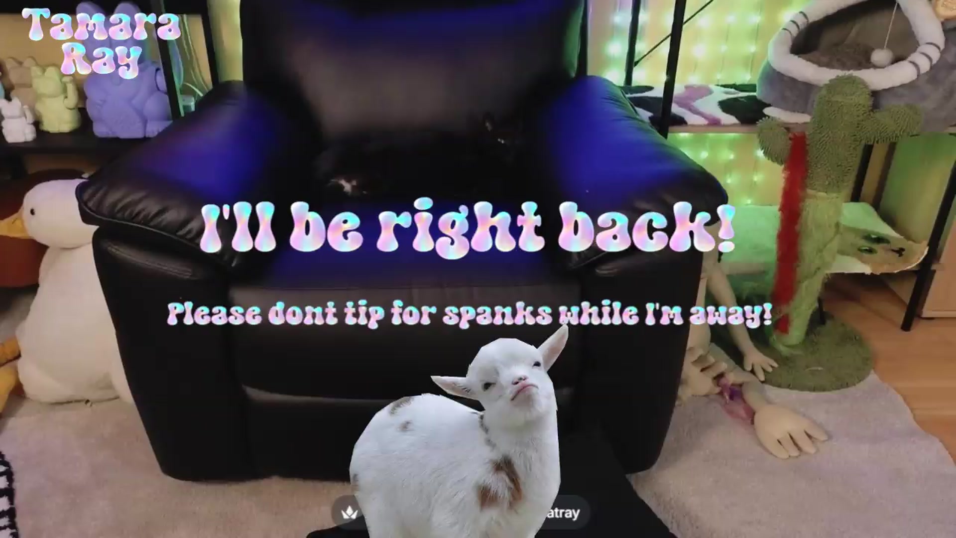 Gallery image thumbnail from TamaraRay's myfreecams stream on, 06/14/2026, 04:41 image 8 of 20