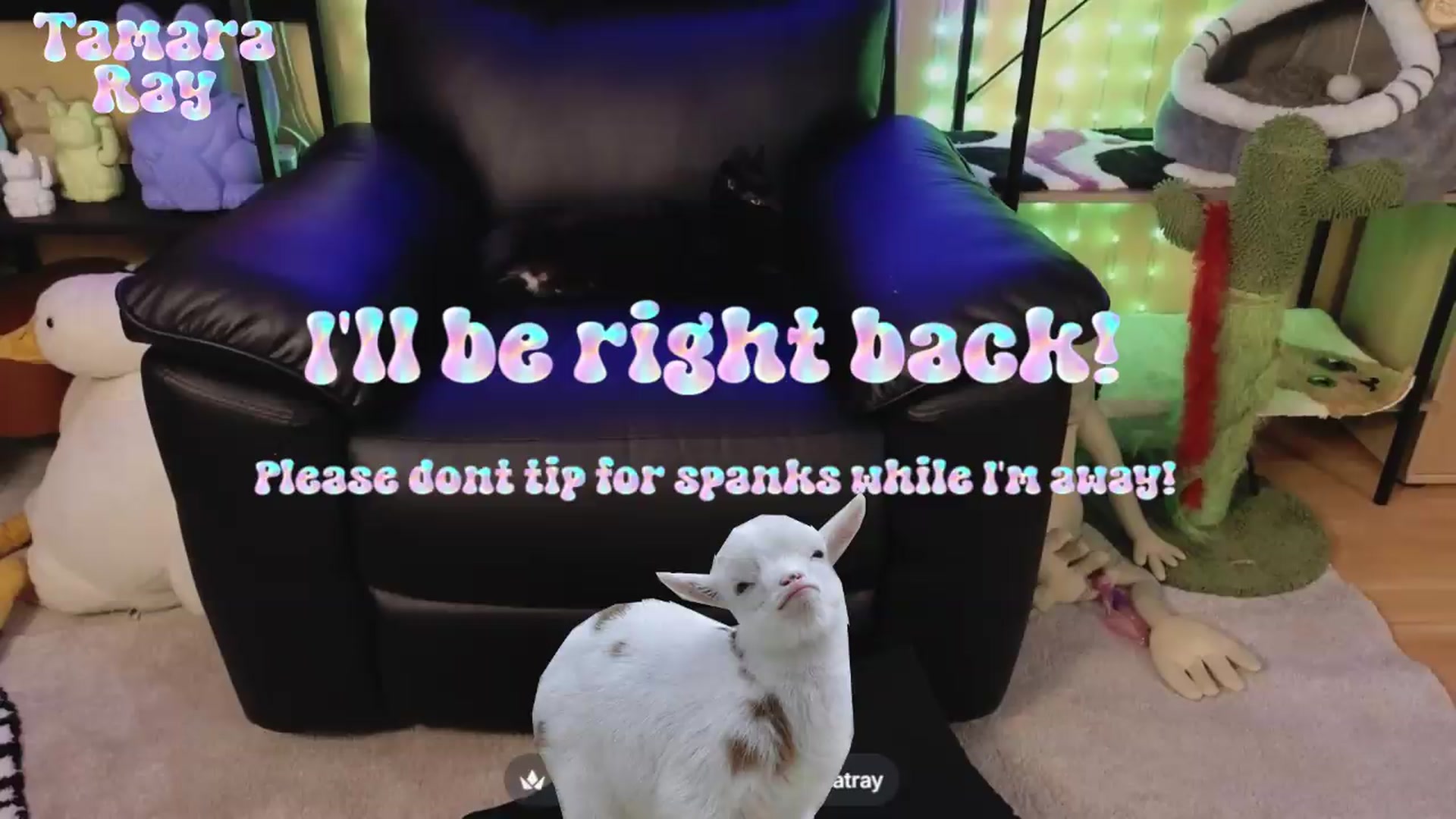Gallery image thumbnail from TamaraRay's myfreecams stream on, 06/14/2026, 04:41 image 9 of 20