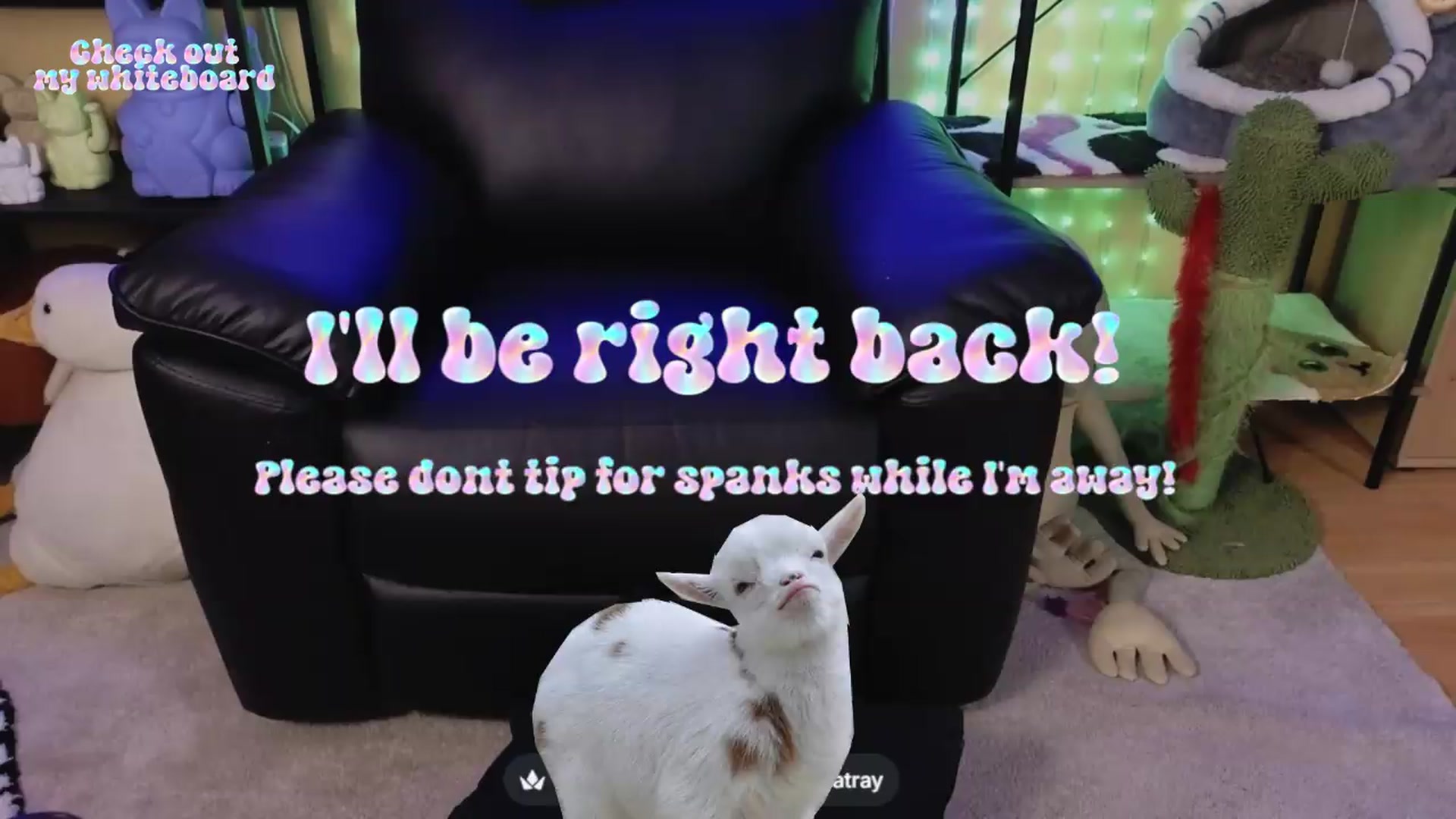 Gallery image thumbnail from TamaraRay's myfreecams stream on, 06/15/2026, 06:21 image 12 of 20