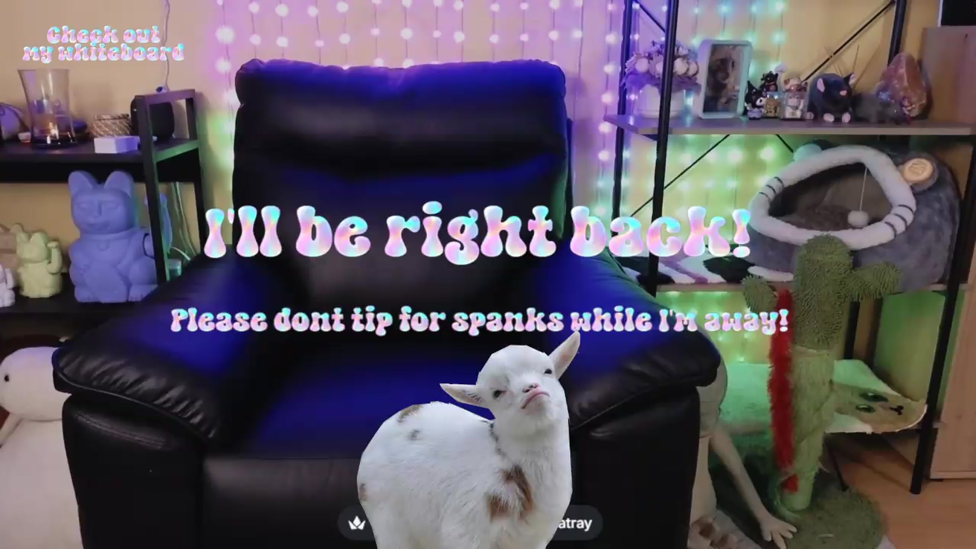 Gallery image thumbnail from TamaraRay's myfreecams stream on, 06/15/2026, 06:21 image 7 of 20