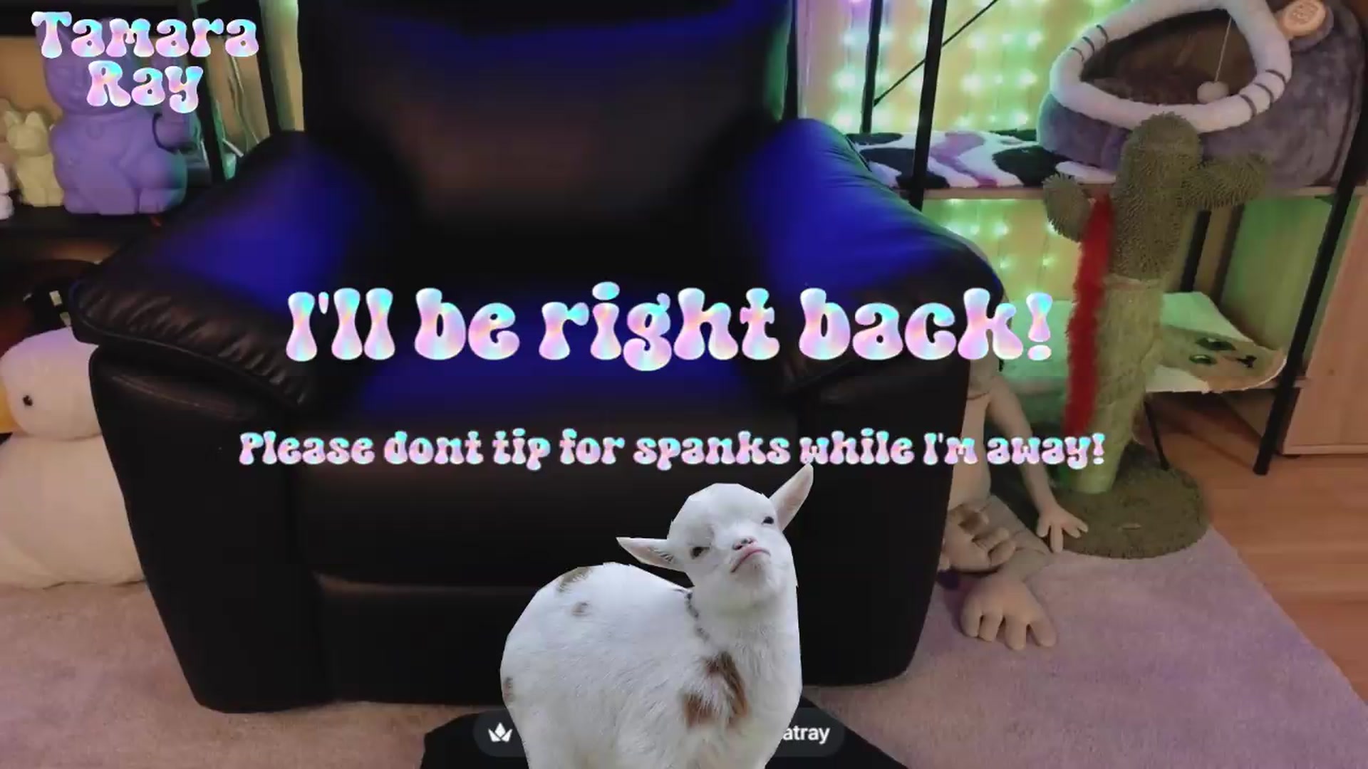 Gallery image thumbnail from TamaraRay's myfreecams stream on, 06/19/2026, 06:51 image 6 of 20