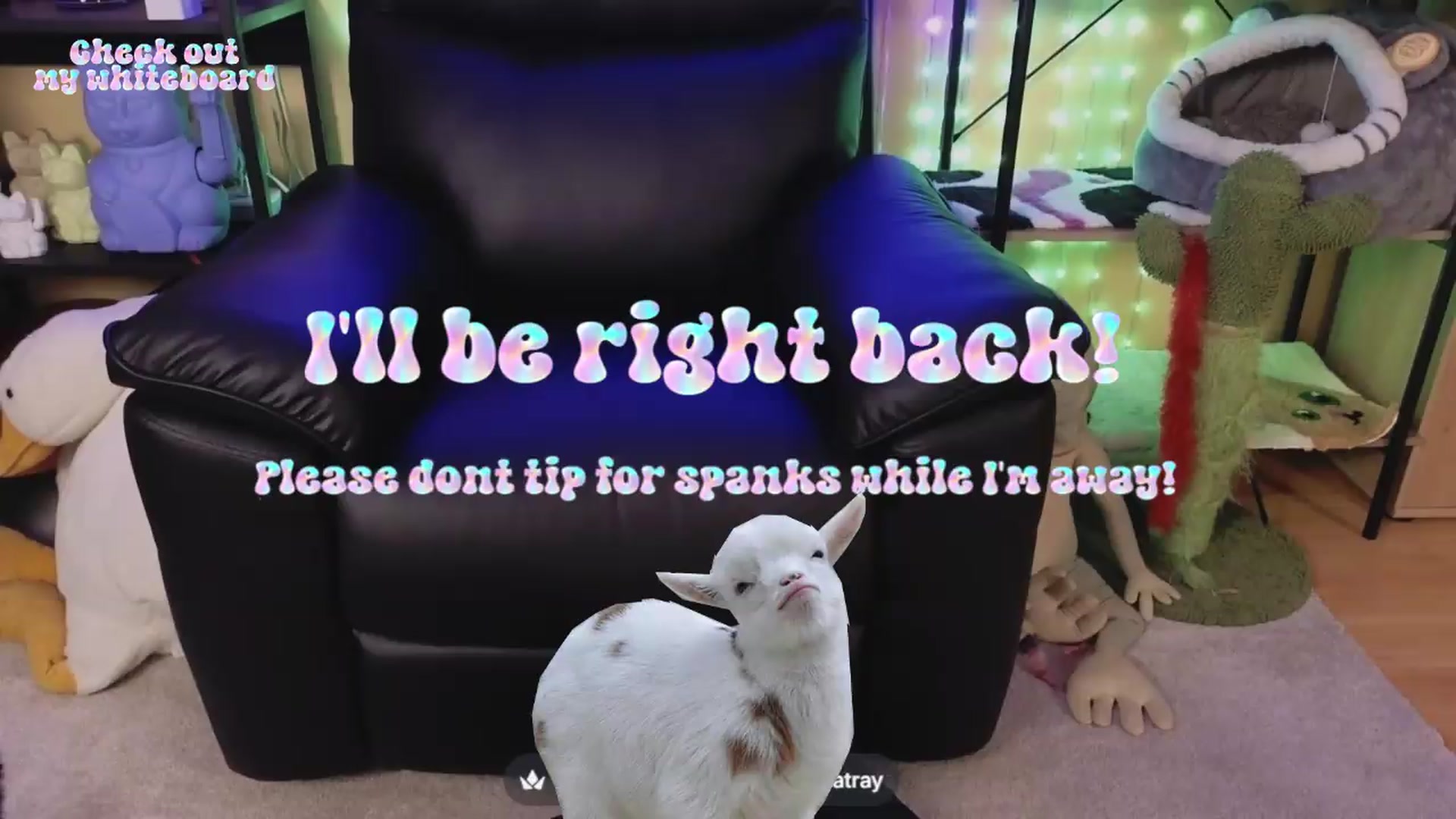 Gallery image thumbnail from TamaraRay's myfreecams stream on, 06/20/2026, 04:56 image 1 of 20