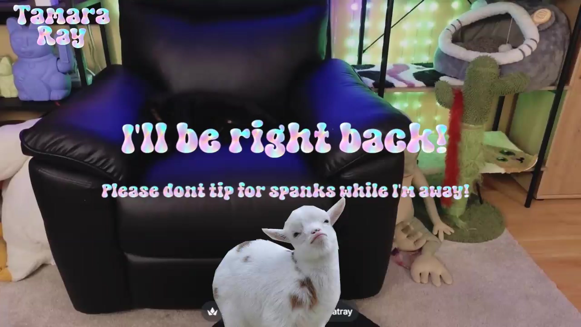 Gallery image thumbnail from TamaraRay's myfreecams stream on, 06/20/2026, 06:32 image 12 of 20