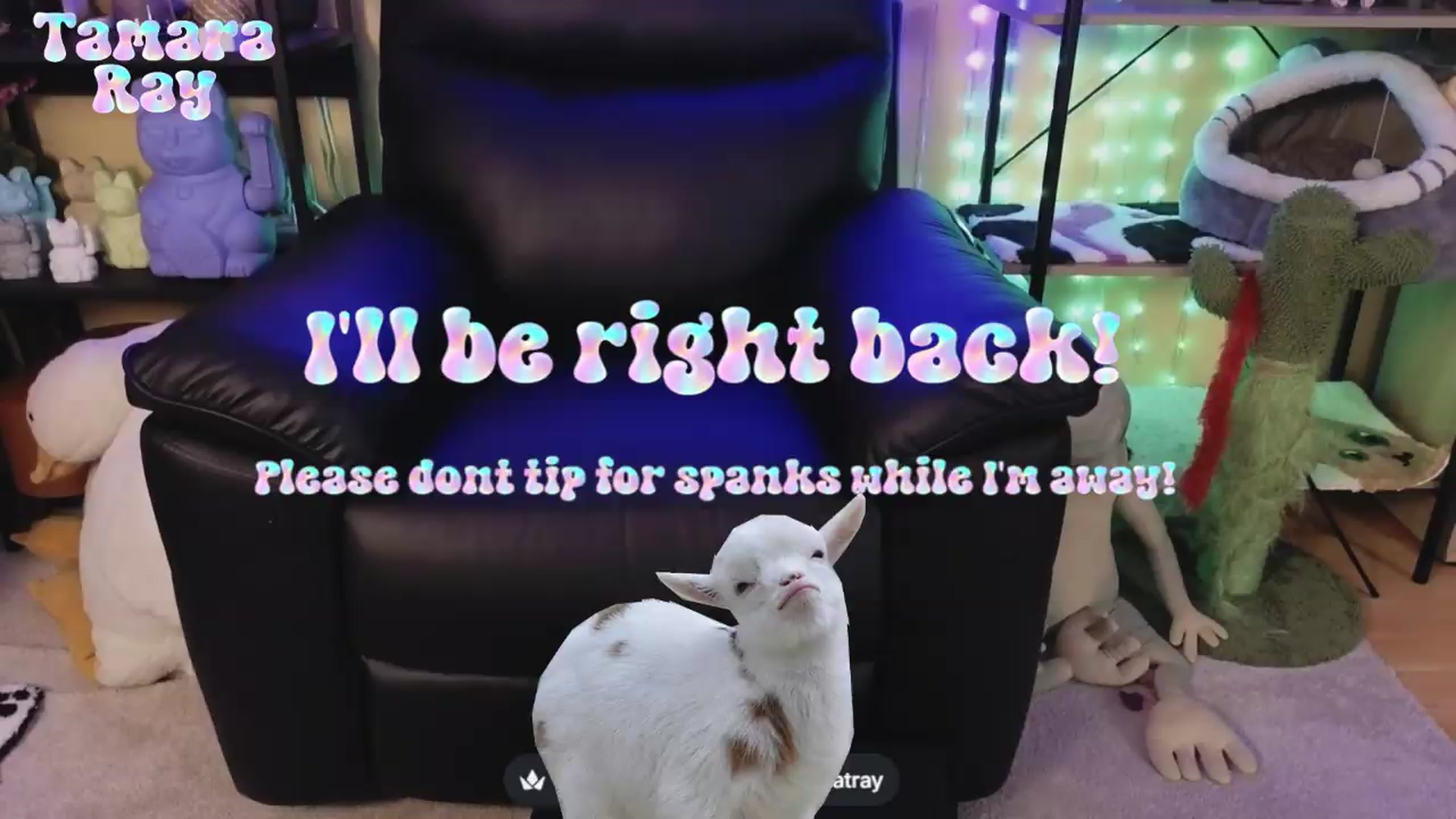 Gallery image thumbnail from TamaraRay's myfreecams stream on, 06/21/2026, 06:10 image 5 of 20