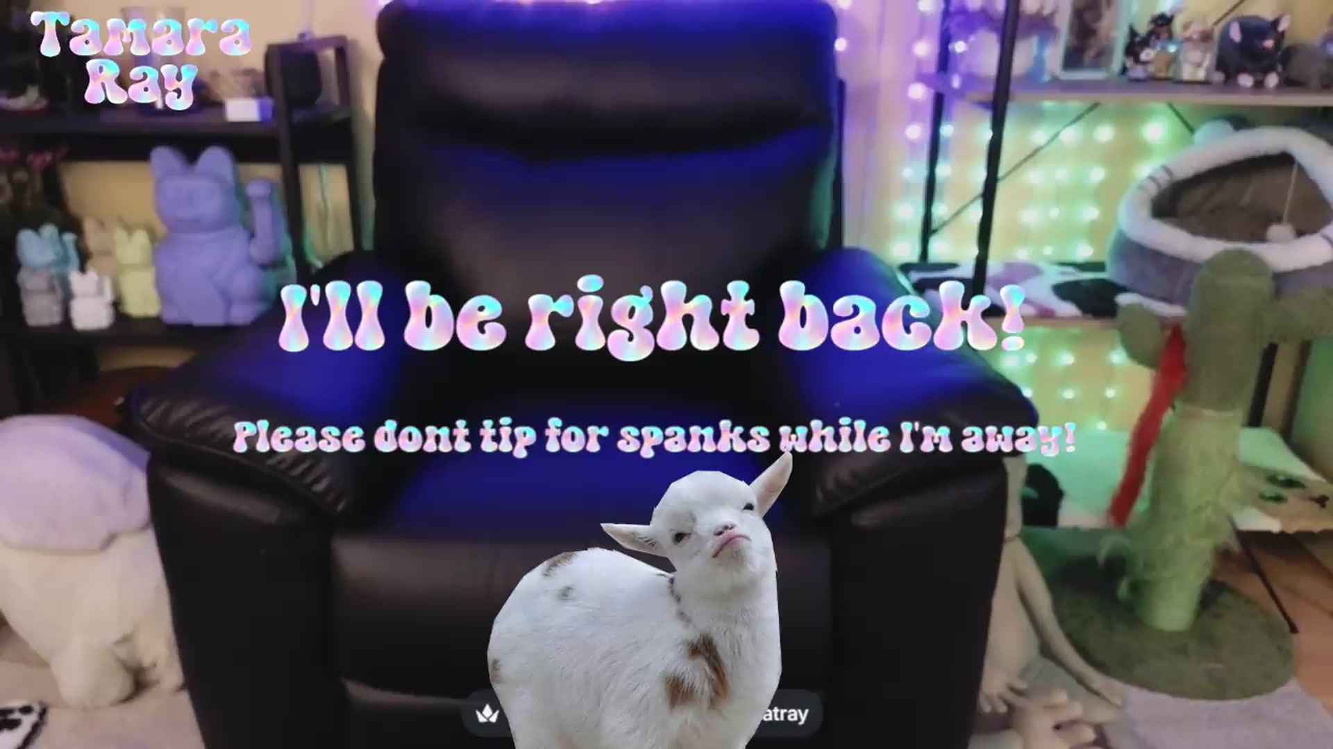 Gallery image thumbnail from TamaraRay's myfreecams stream on, 06/21/2026, 06:10 image 18 of 20