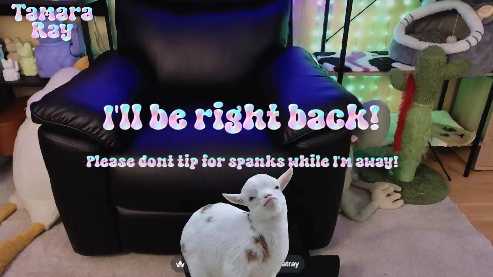 Gallery image thumbnail from TamaraRay's myfreecams stream on, 06/27/2026, 06:51 image 4 of 20