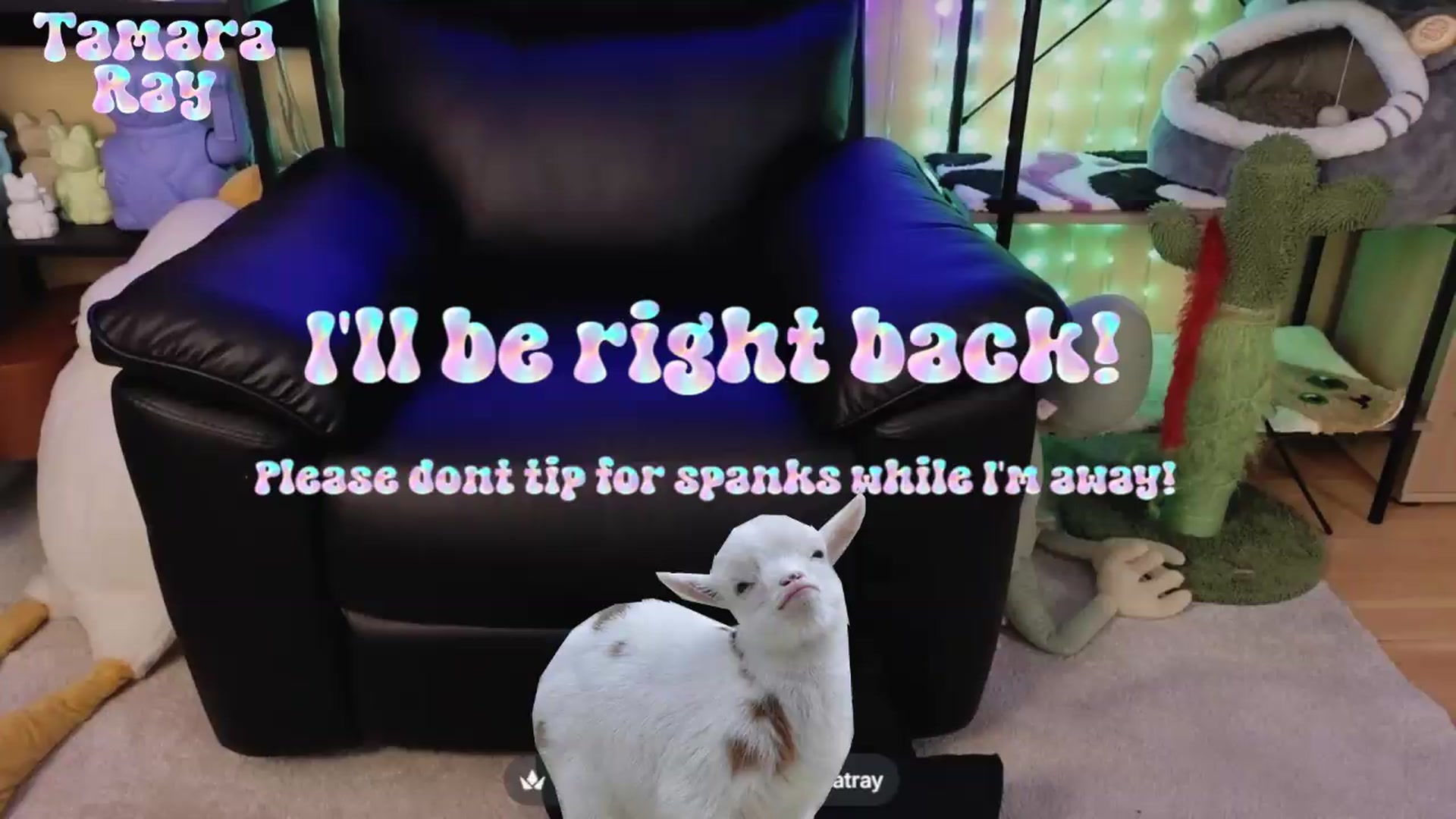 Gallery image thumbnail from TamaraRay's myfreecams stream on, 06/27/2026, 06:51 image 3 of 20
