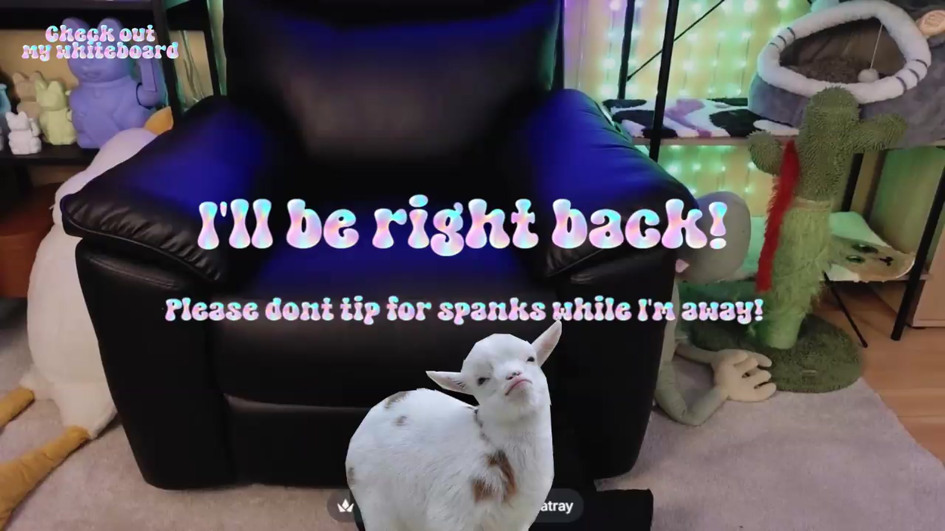 Gallery image thumbnail from TamaraRay's myfreecams stream on, 06/27/2026, 06:51 image 5 of 20