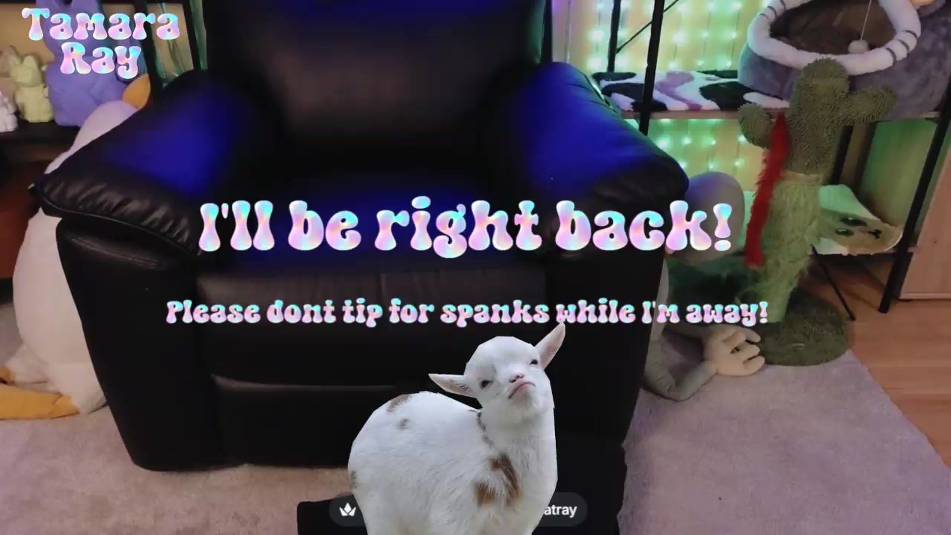 Gallery image thumbnail from TamaraRay's myfreecams stream on, 06/28/2026, 07:09 image 2 of 20