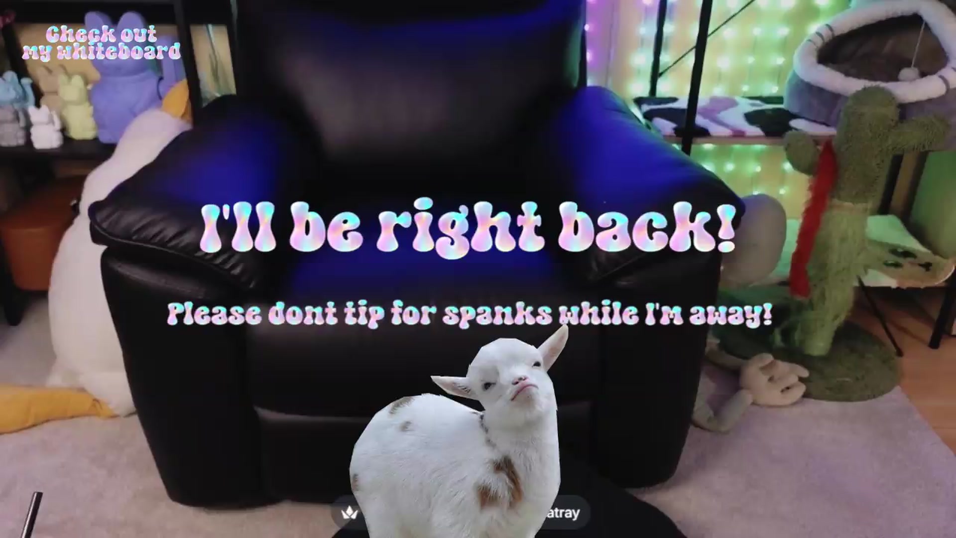 Gallery image thumbnail from TamaraRay's myfreecams stream on, 06/29/2026, 06:25 image 2 of 20