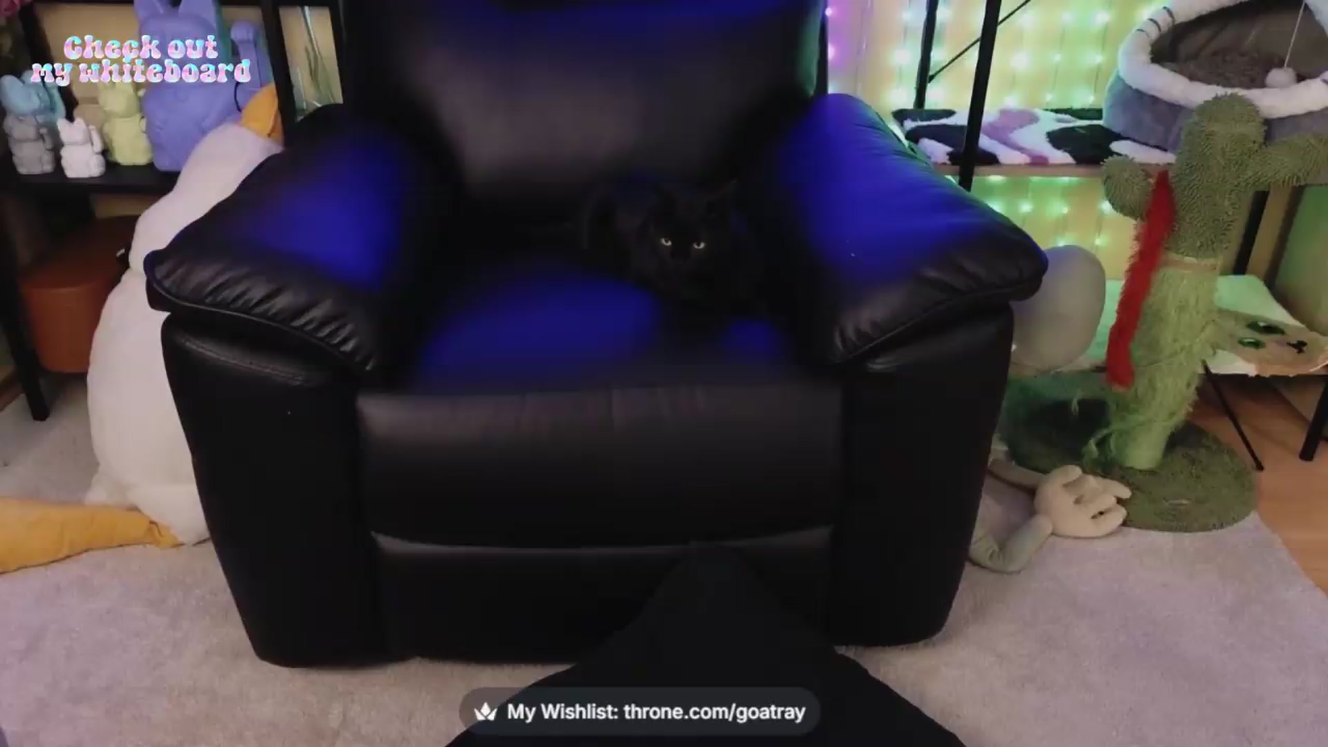 Gallery image thumbnail from TamaraRay's myfreecams stream on, 06/29/2026, 06:25 image 19 of 20