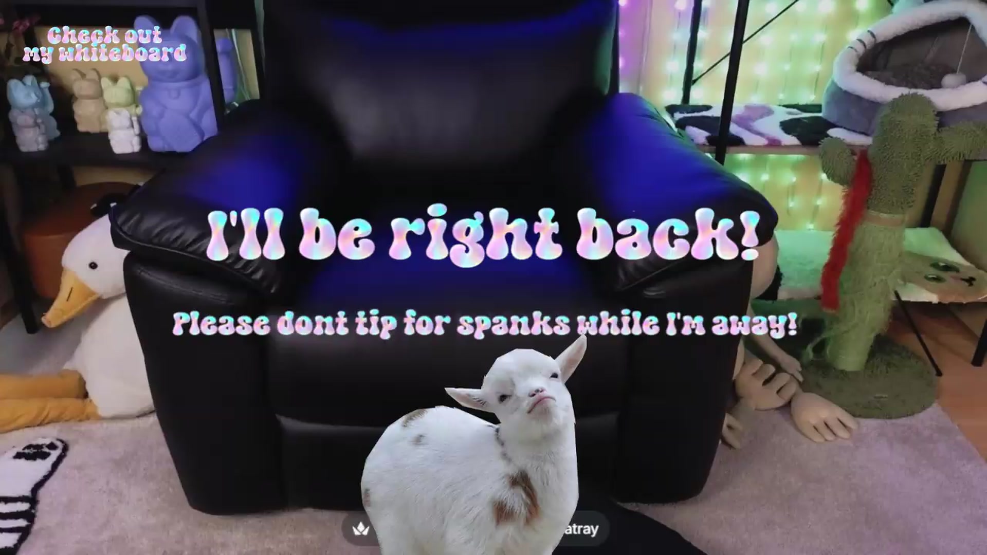 Gallery image thumbnail from TamaraRay's myfreecams stream on, 07/05/2026, 06:34 image 10 of 20