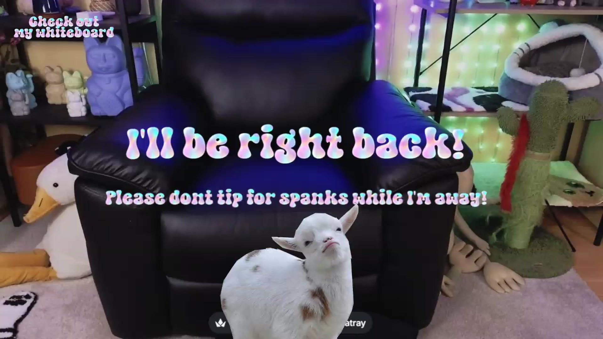 Gallery image thumbnail from TamaraRay's myfreecams stream on, 07/05/2026, 06:34 image 14 of 20