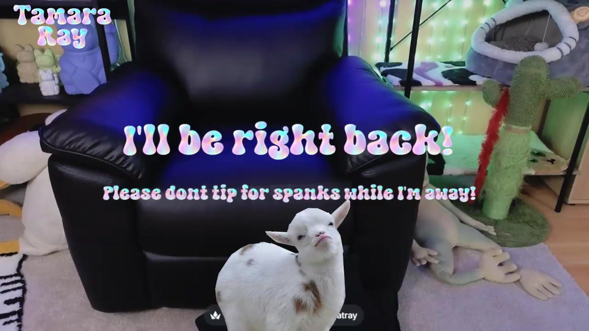 Gallery image thumbnail from TamaraRay's myfreecams stream on, 07/10/2026, 06:01 image 9 of 20
