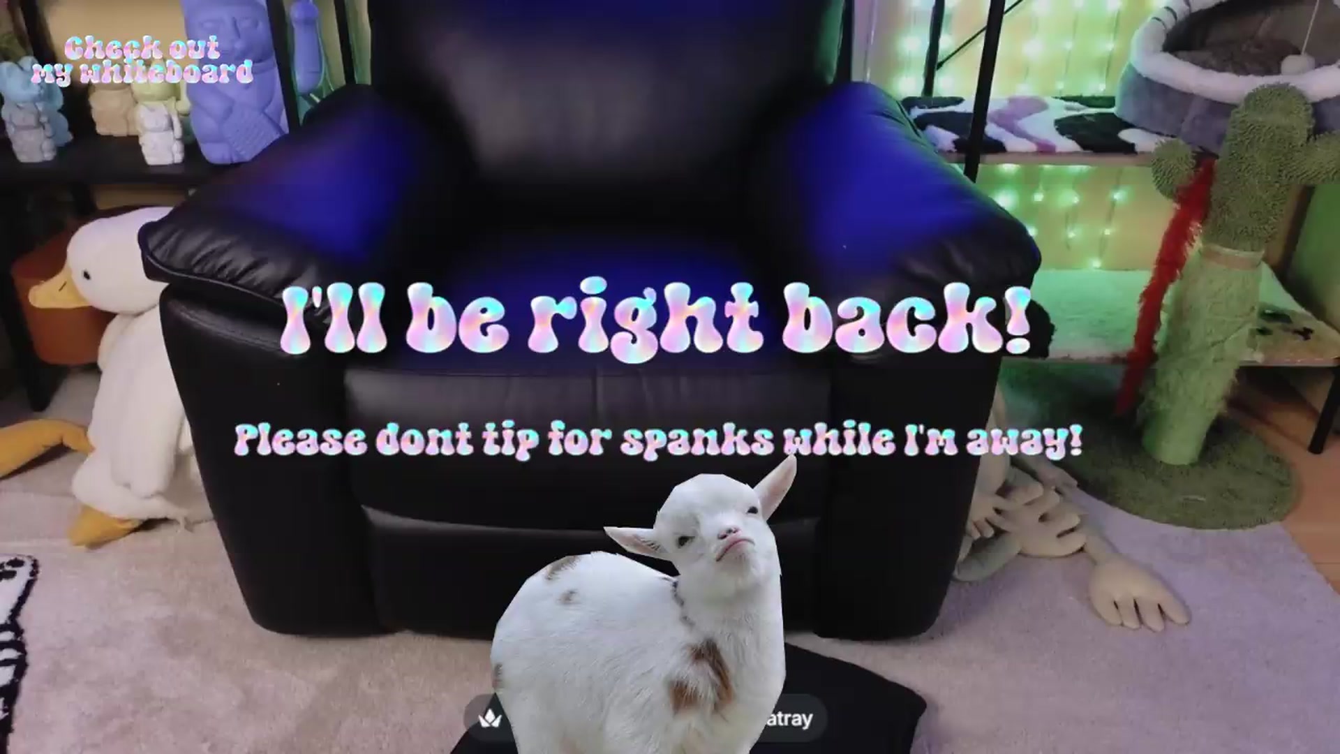 Gallery image thumbnail from TamaraRay's myfreecams stream on, 07/17/2026, 03:29 image 13 of 20