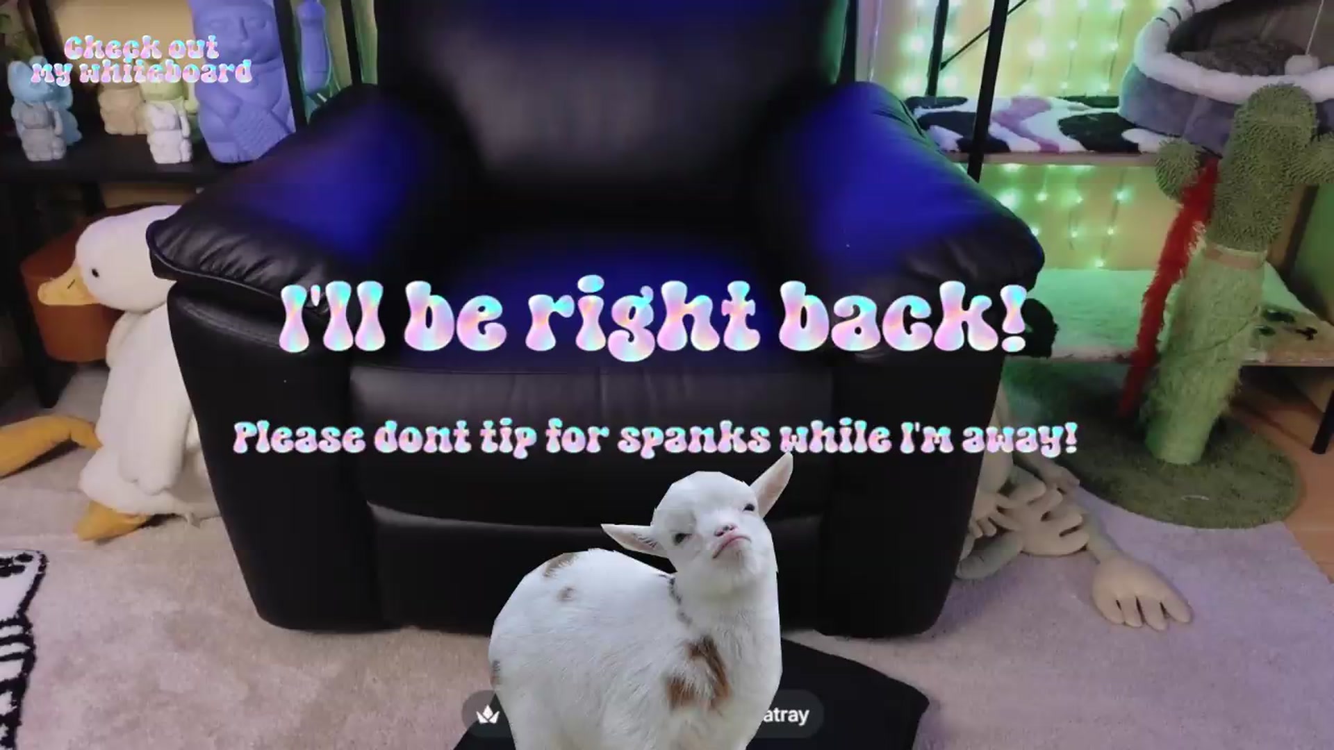 Gallery image thumbnail from TamaraRay's myfreecams stream on, 07/17/2026, 03:29 image 11 of 20