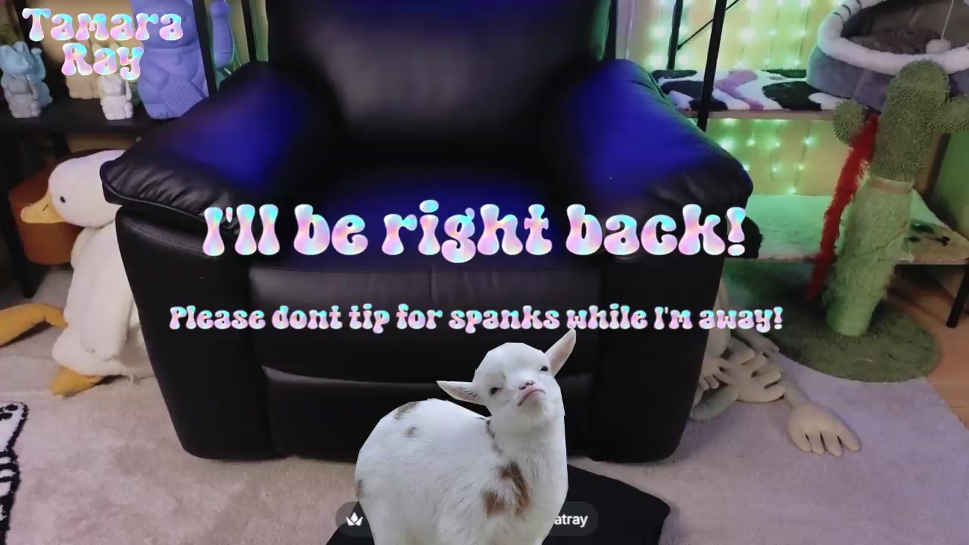 Gallery image thumbnail from TamaraRay's myfreecams stream on, 07/17/2026, 03:29 image 12 of 20
