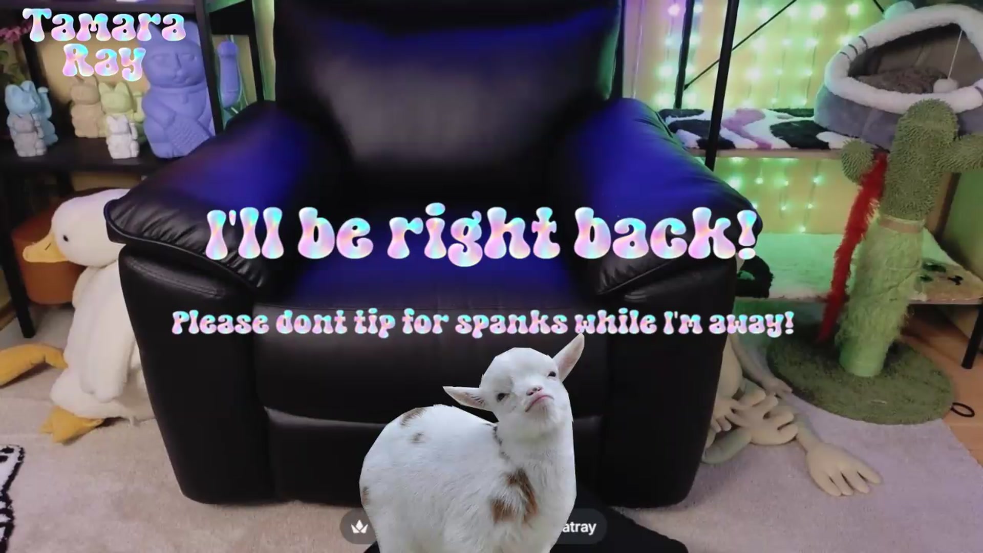 Gallery image thumbnail from TamaraRay's myfreecams stream on, 07/17/2026, 06:01 image 14 of 20