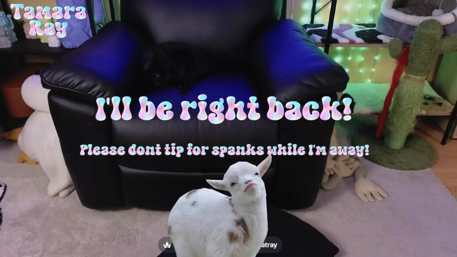 Gallery image thumbnail from TamaraRay's myfreecams stream on, 07/20/2026, 04:35 image 11 of 20