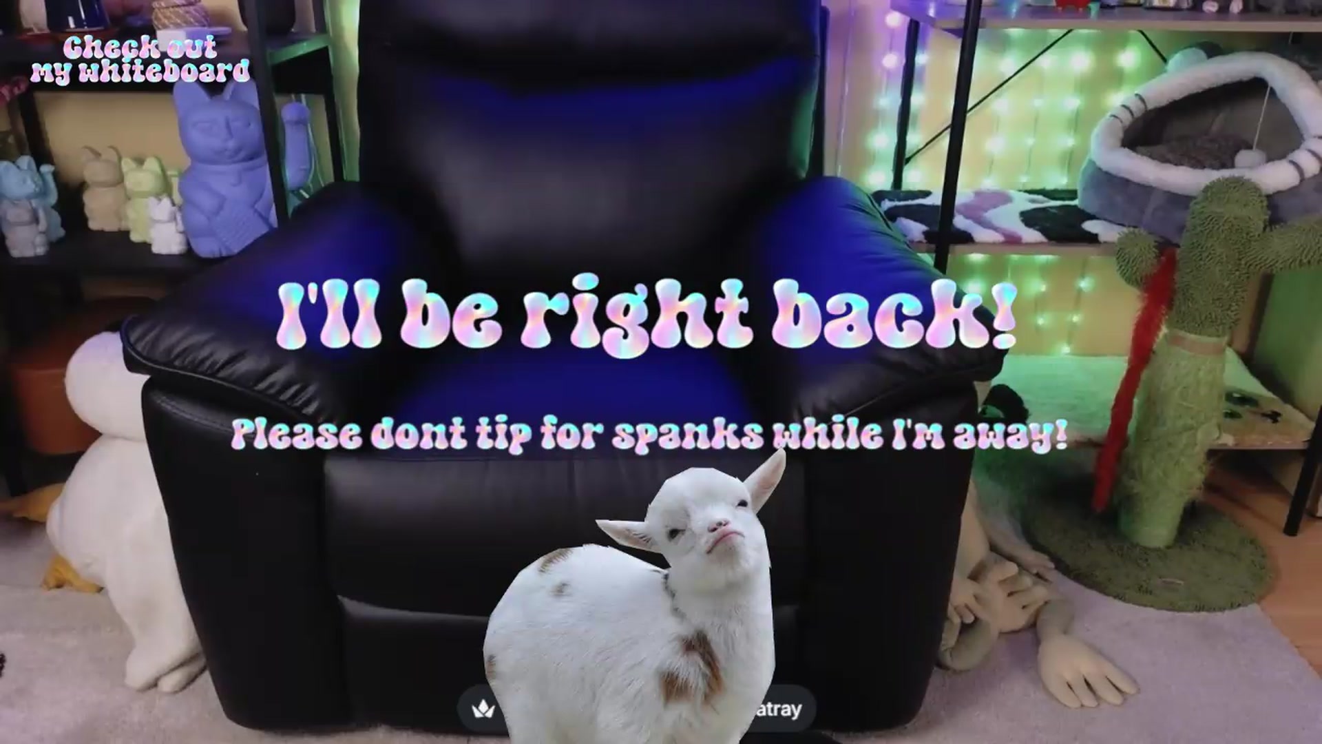 Gallery image thumbnail from TamaraRay's myfreecams stream on, 07/20/2026, 04:35 image 18 of 20