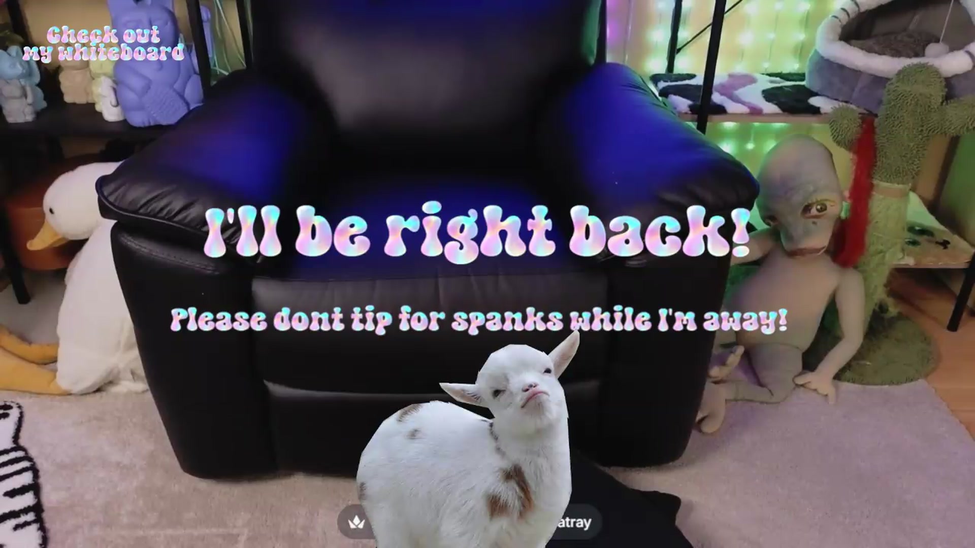 Gallery image thumbnail from TamaraRay's myfreecams stream on, 07/23/2026, 07:02 image 10 of 20