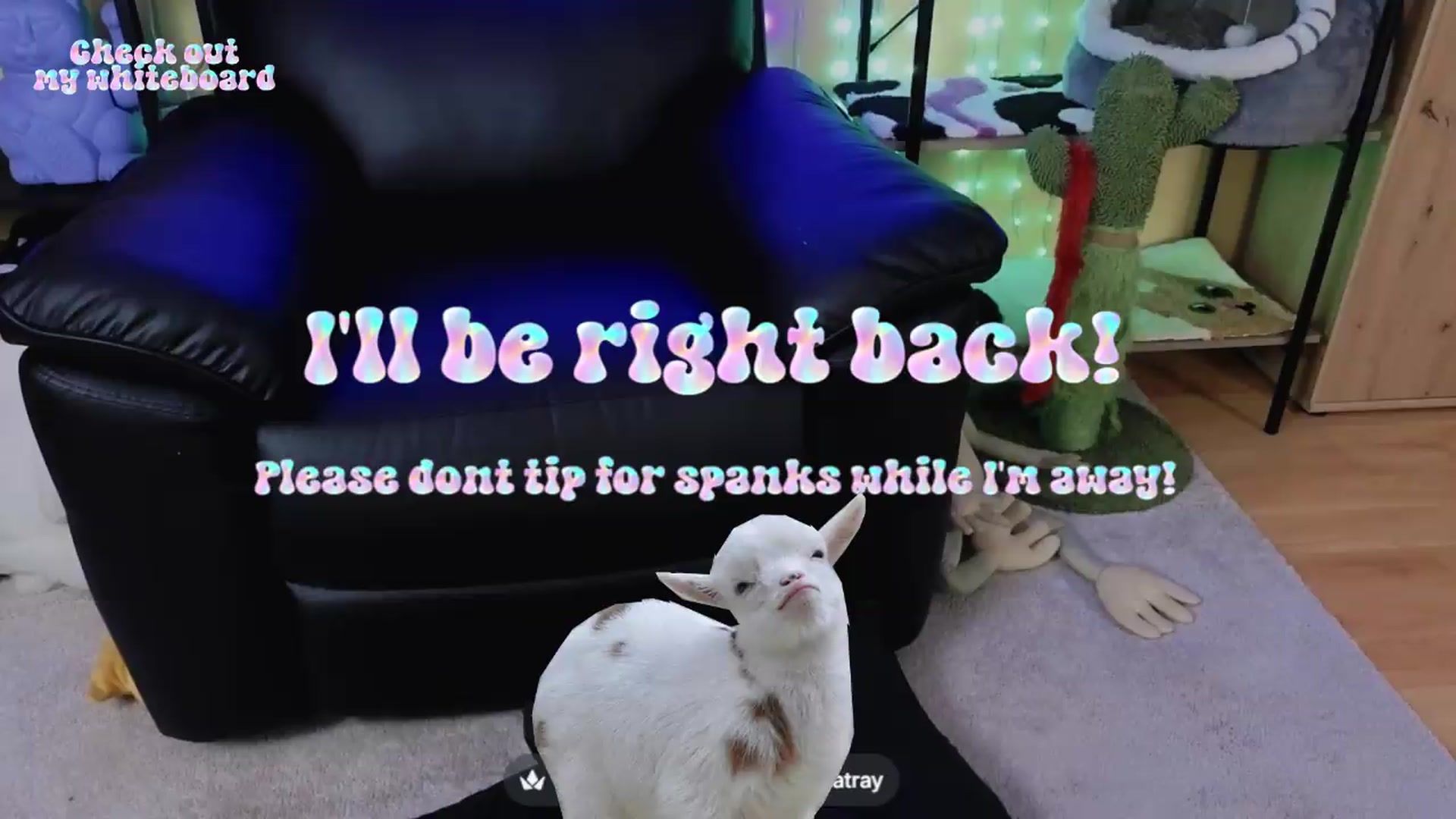 Gallery image thumbnail from TamaraRay's myfreecams stream on, 08/13/2026, 06:35 image 13 of 20