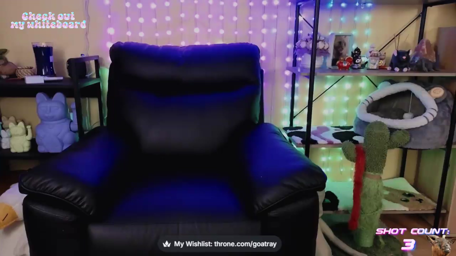 Gallery image thumbnail from TamaraRay's myfreecams stream on, 08/21/2026, 06:27 image 13 of 20