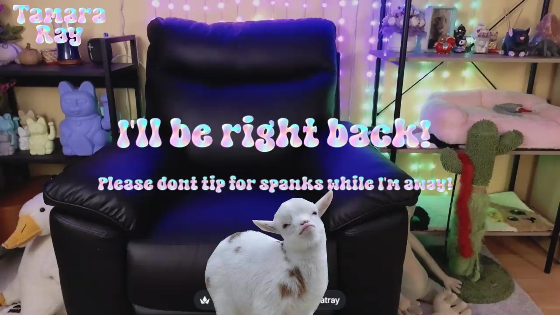 Gallery image thumbnail from TamaraRay's myfreecams stream on, 09/08/2026, 06:25 image 5 of 20