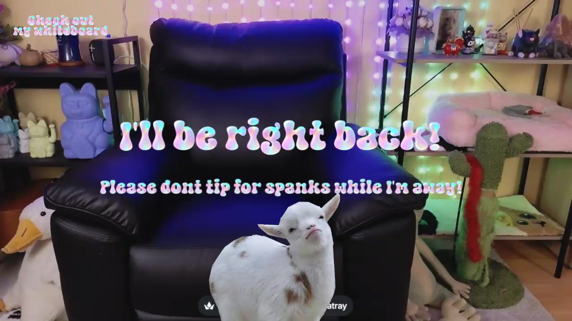 Gallery image thumbnail from TamaraRay's myfreecams stream on, 09/08/2026, 06:25 image 6 of 20