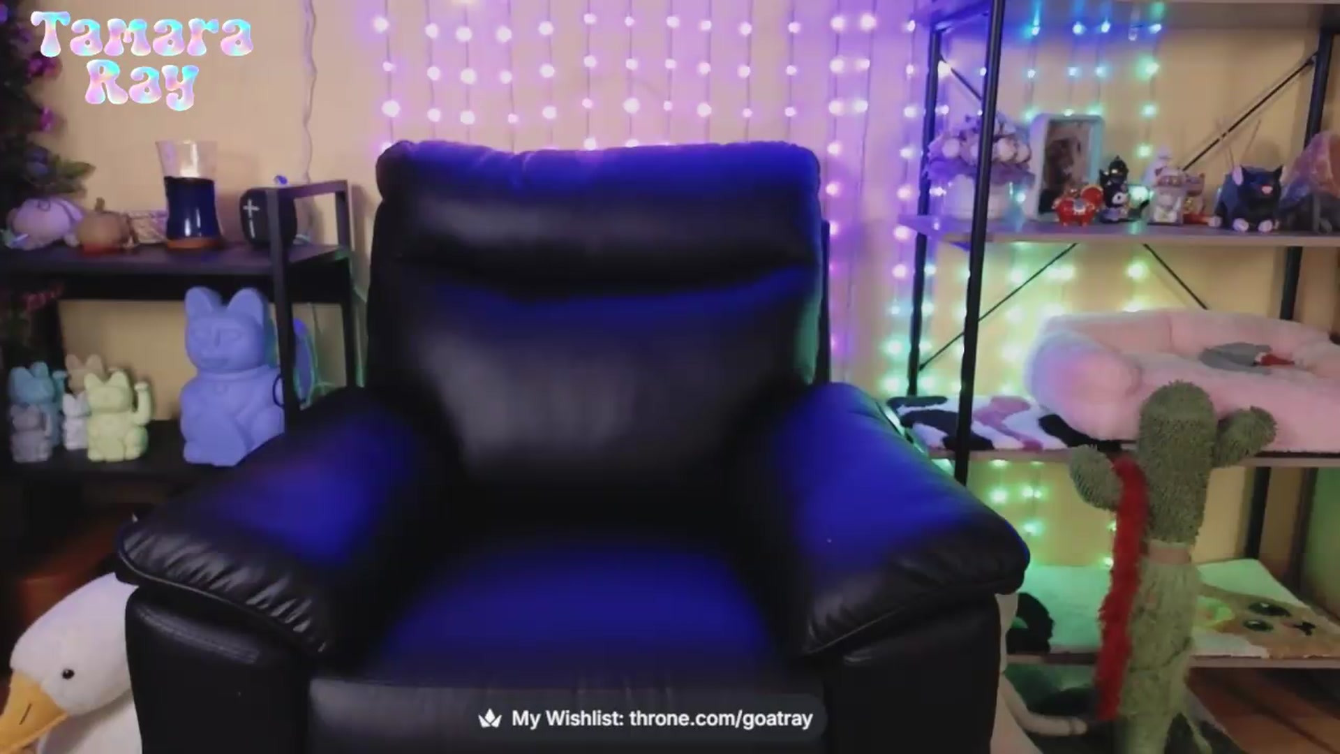 Gallery image thumbnail from TamaraRay's myfreecams stream on, 09/17/2026, 05:33 image 11 of 20