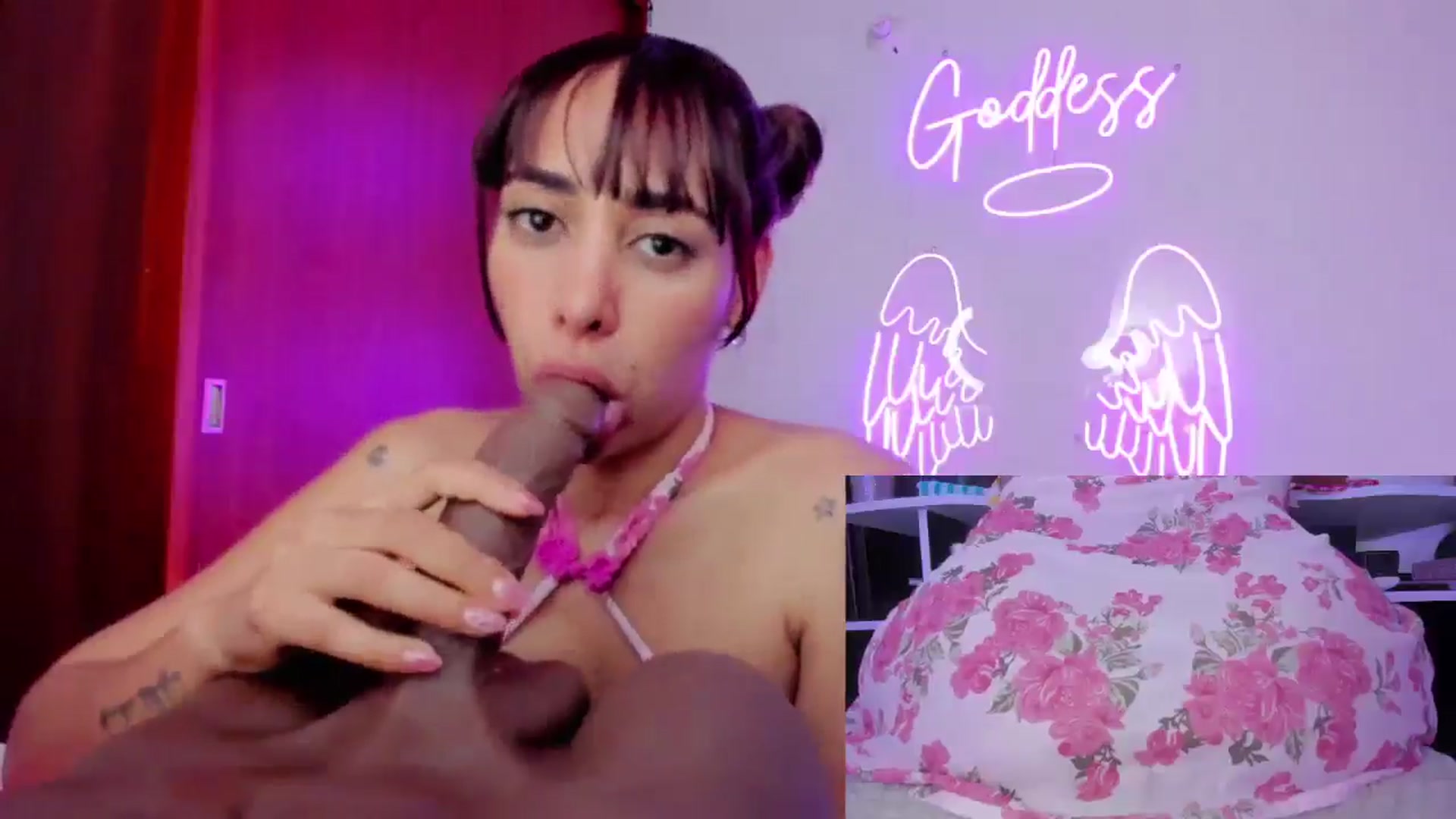 Gallery image thumbnail from Tamy_bennett's myfreecams stream on, 03/09/2025, 13:16 image 11 of 20