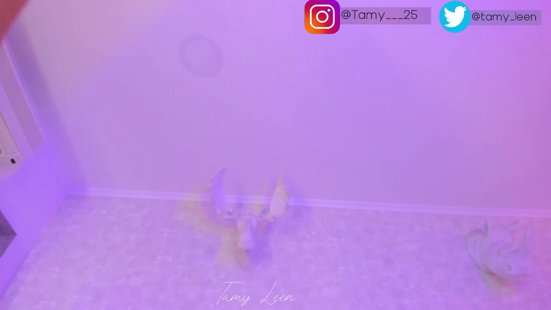 Gallery image thumbnail from Tamy_leen's myfreecams stream on, 02/13/2023, 12:48 image 11 of 20