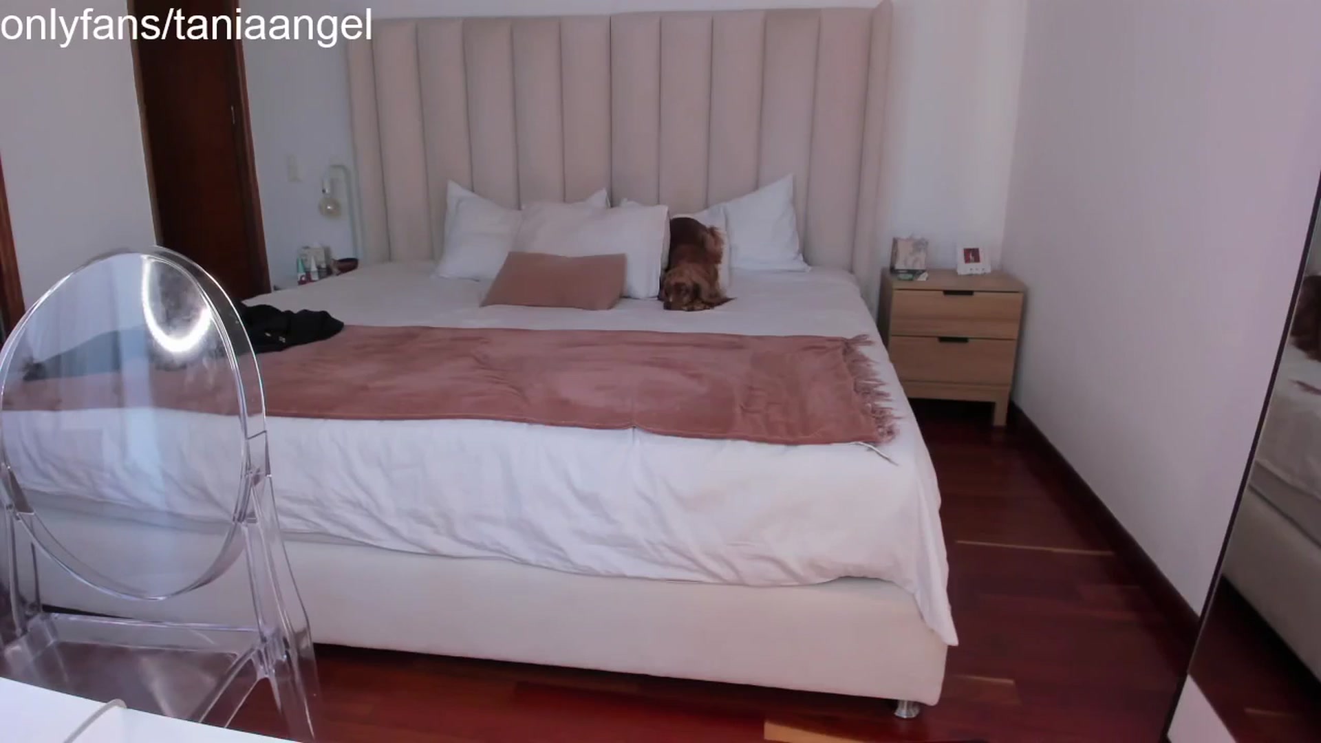 Gallery image thumbnail from TaniaAngel's myfreecams stream on, 03/06/2024, 22:28 image 14 of 20