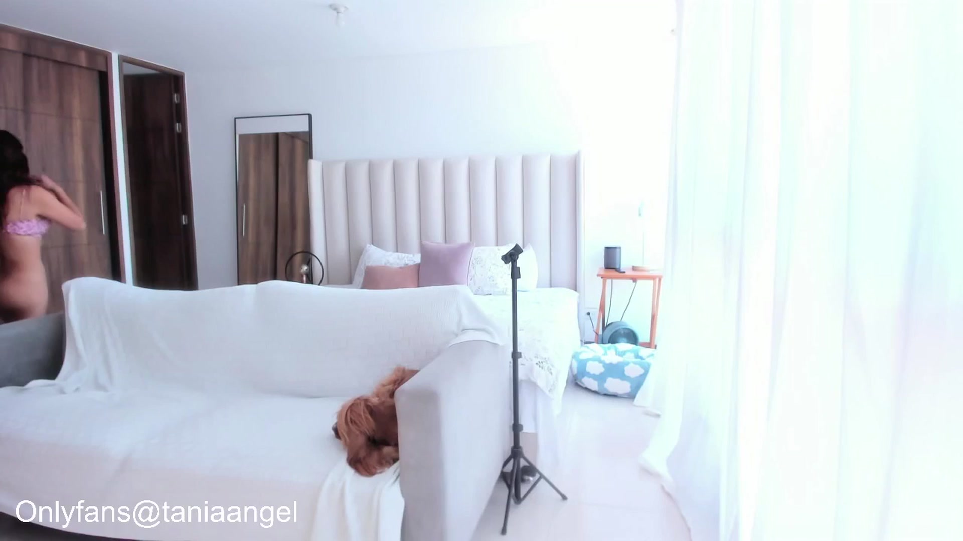 Gallery image thumbnail from TaniaAngel's myfreecams stream on, 05/10/2025, 15:45 image 18 of 20