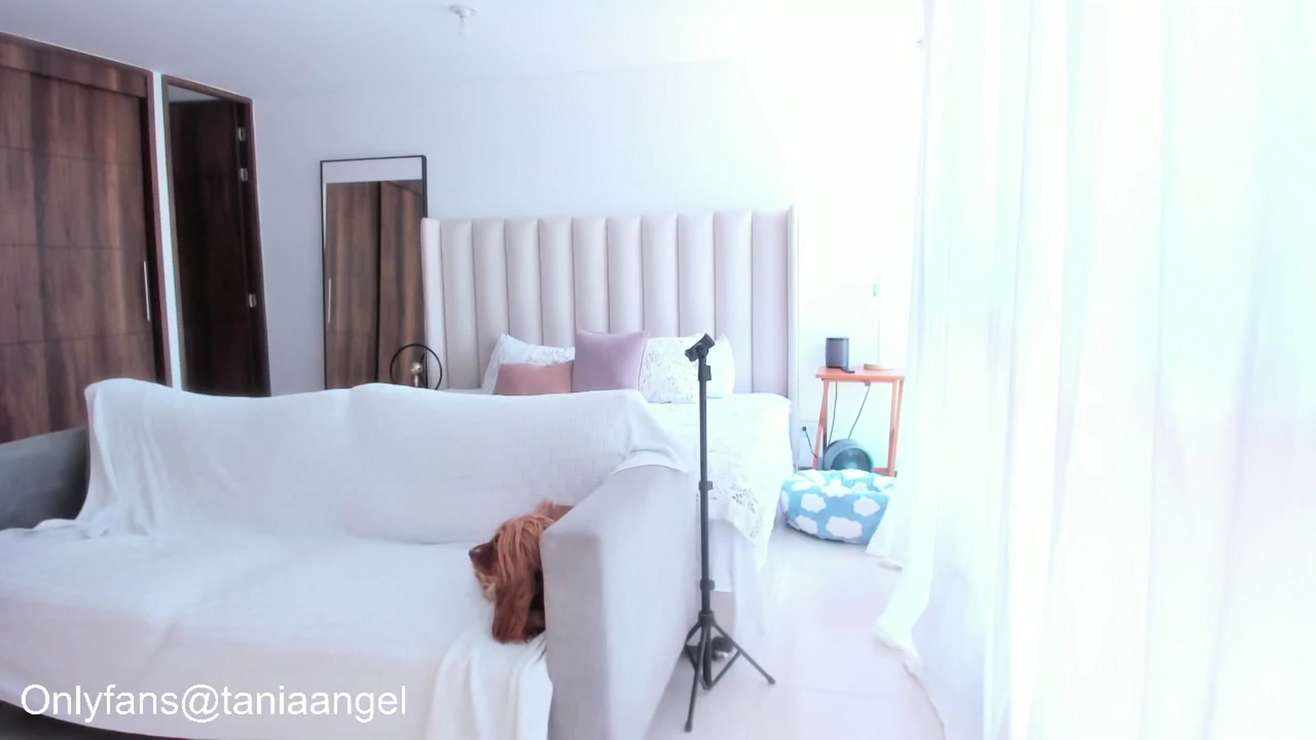 Gallery image thumbnail from TaniaAngel's myfreecams stream on, 05/10/2025, 15:45 image 19 of 20