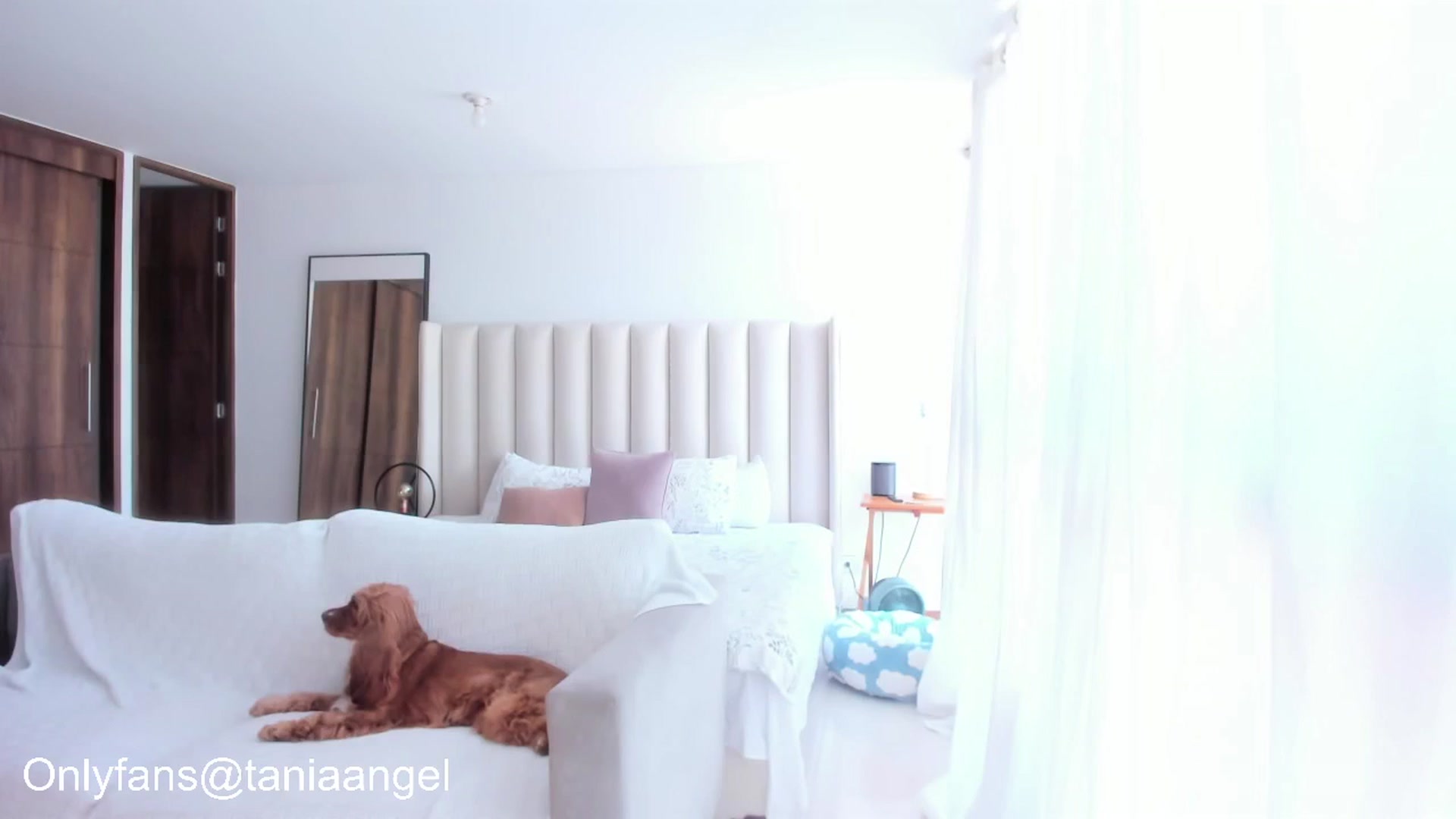 Gallery image thumbnail from TaniaAngel's myfreecams stream on, 05/10/2025, 19:40 image 7 of 20