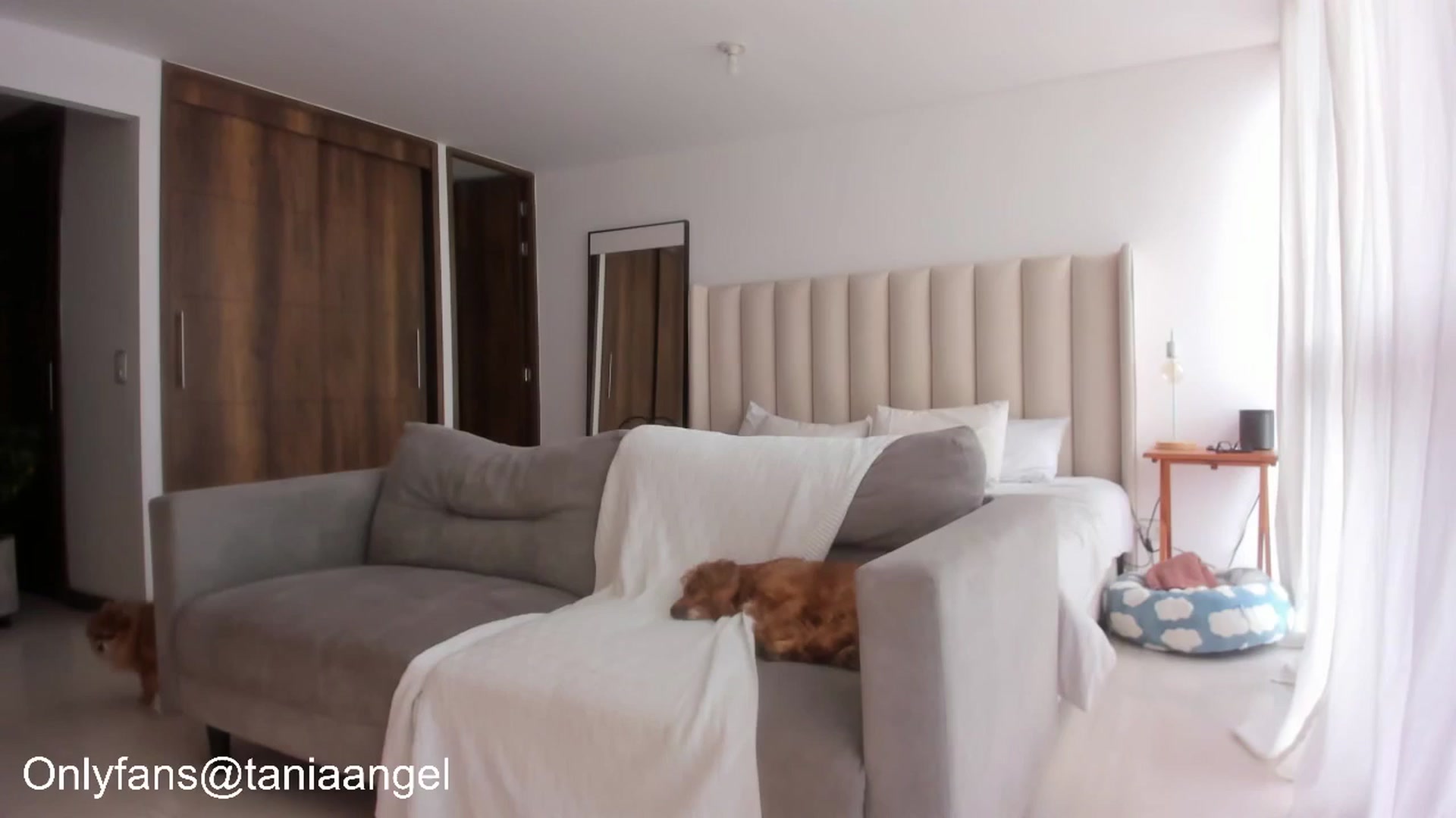 Gallery image thumbnail from TaniaAngel's myfreecams stream on, 05/21/2025, 20:27 image 7 of 20