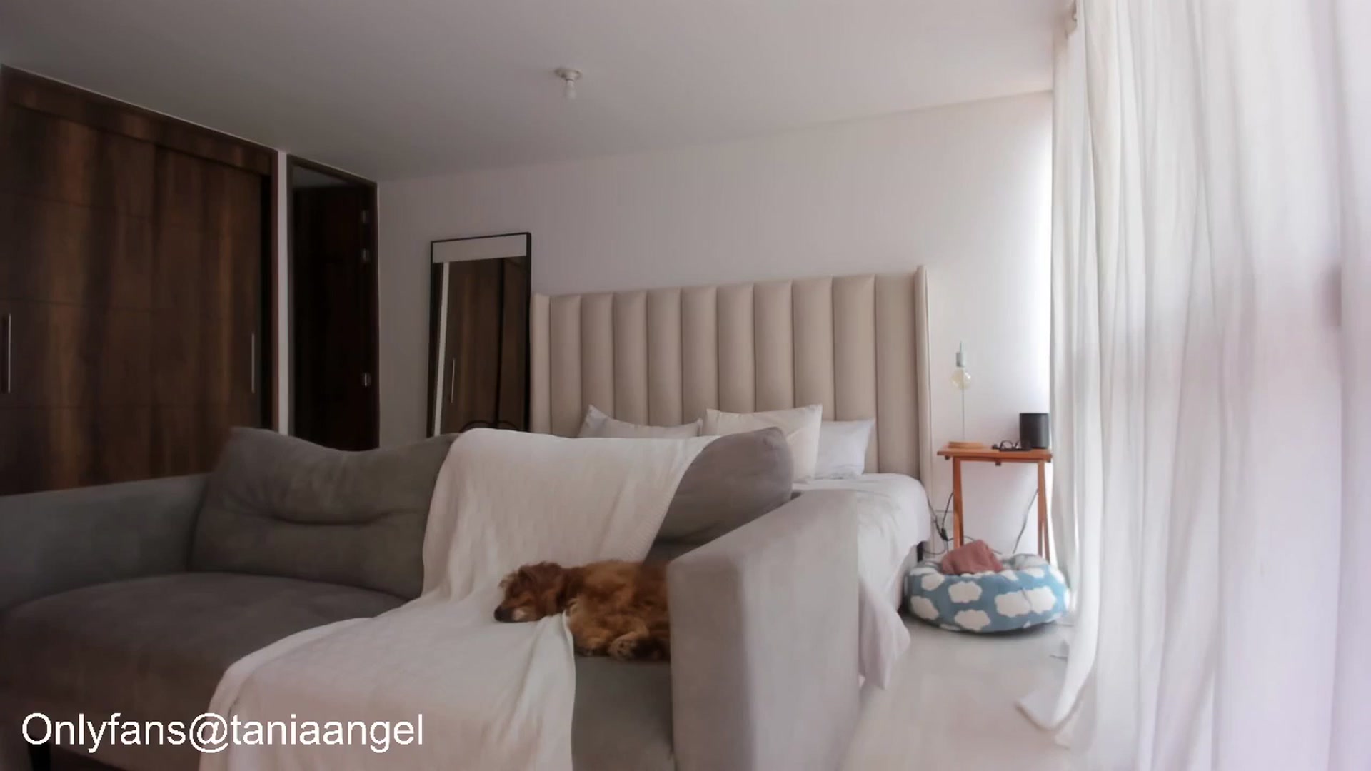 Gallery image thumbnail from TaniaAngel's myfreecams stream on, 05/21/2025, 20:27 image 9 of 20