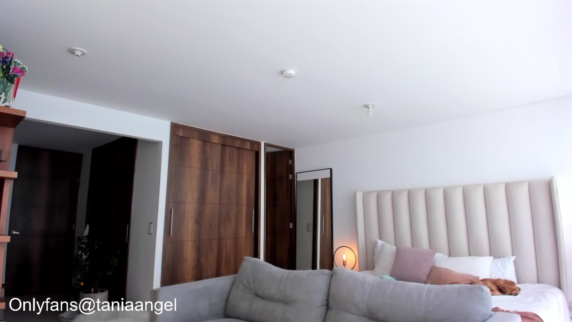 Gallery image thumbnail from TaniaAngel's myfreecams stream on, 05/27/2025, 19:10 image 8 of 20