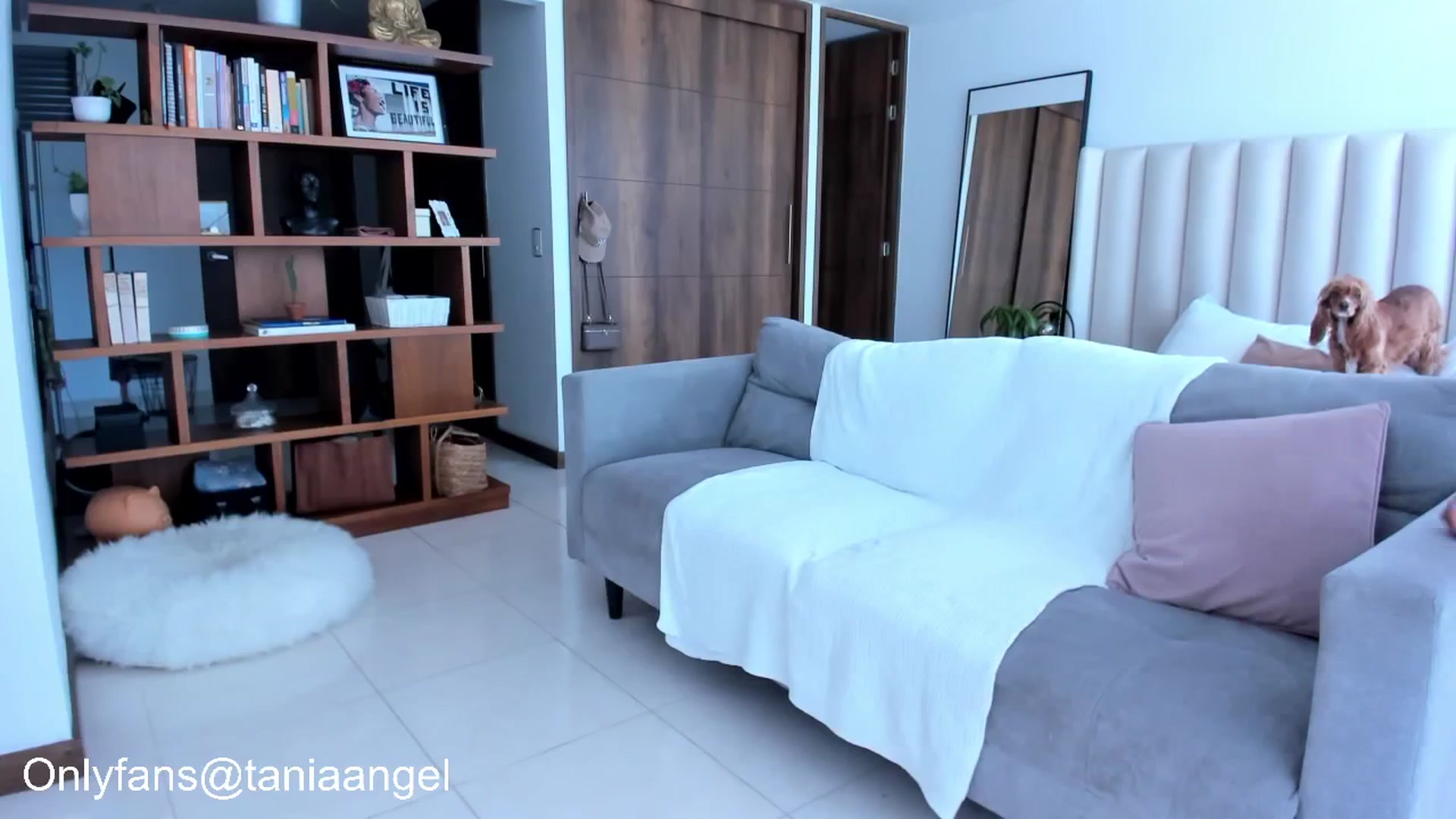 Gallery image thumbnail from TaniaAngel's myfreecams stream on, 07/31/2025, 17:37 image 15 of 20